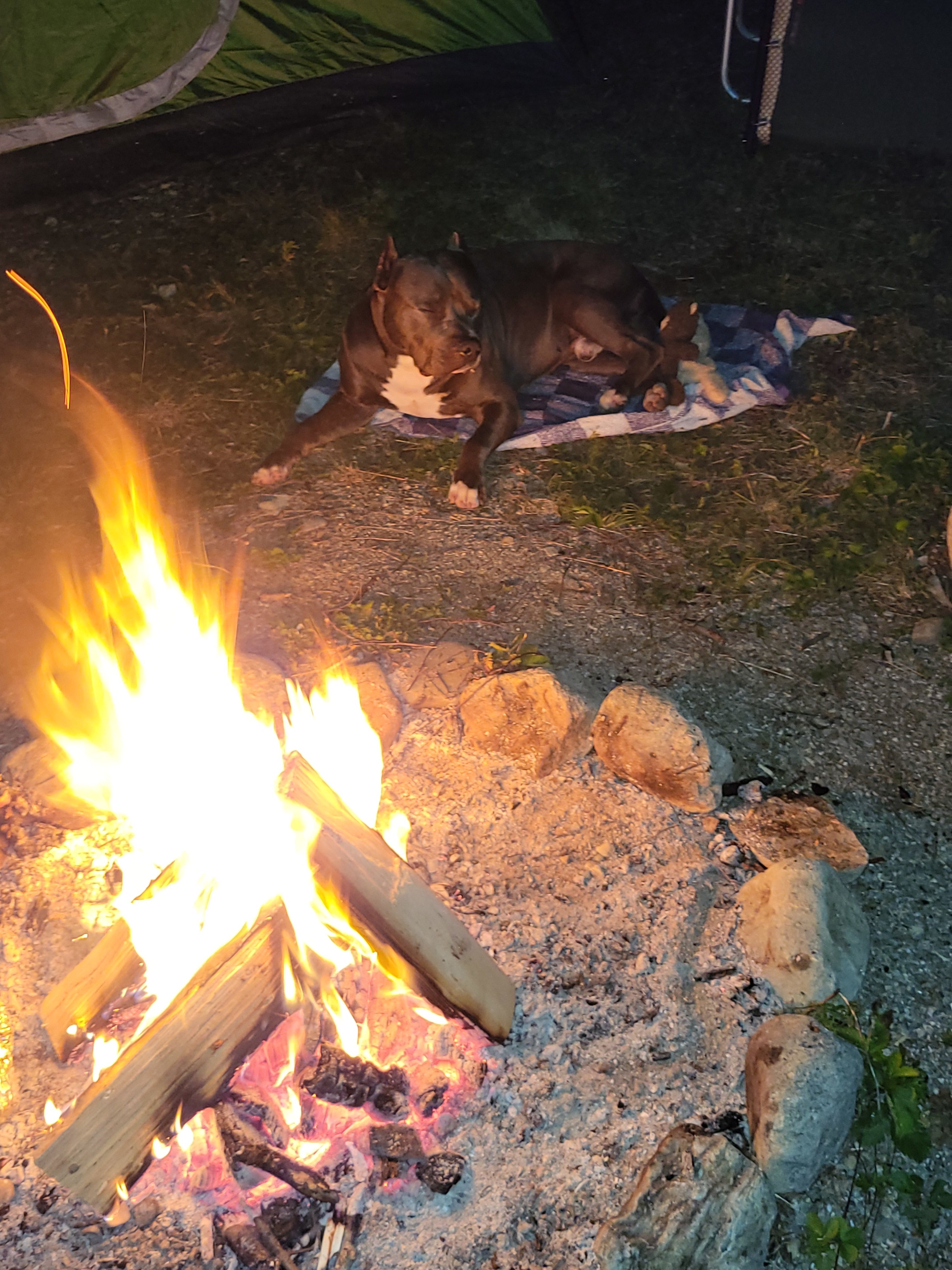 Raeder cozy by the fire