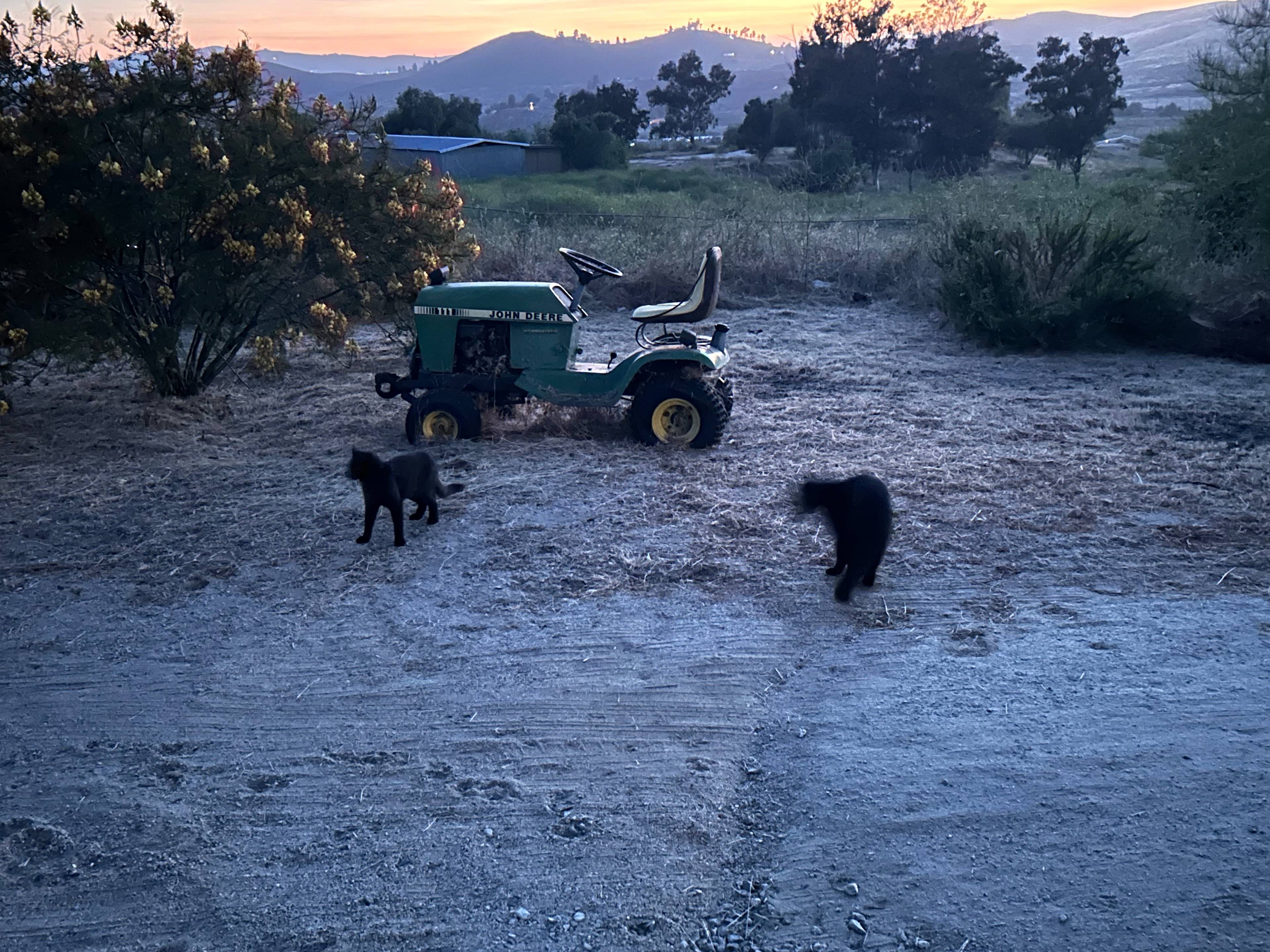 Back Acre Hills Farm