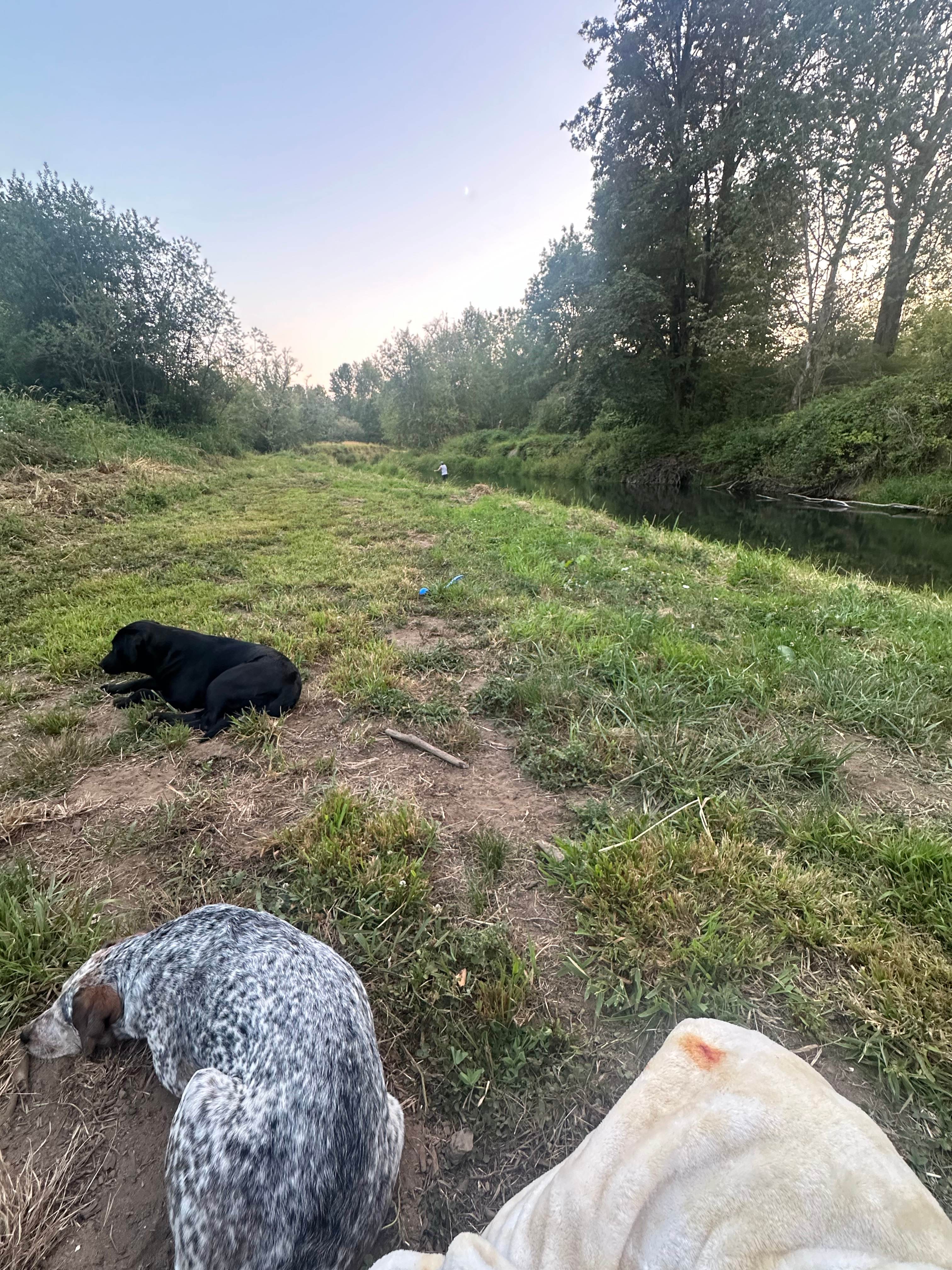 Wild Roots River Oasis