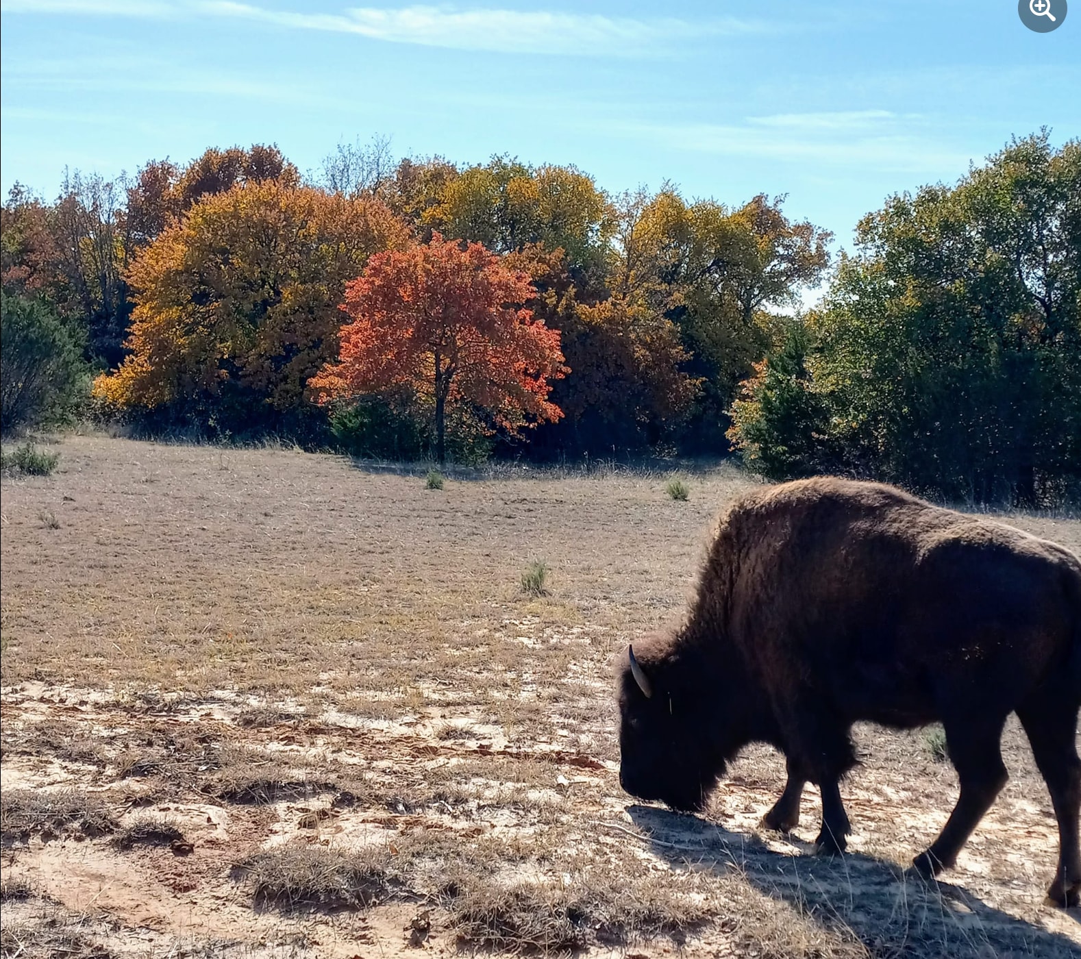 The Hideaway Ranch and Refuge