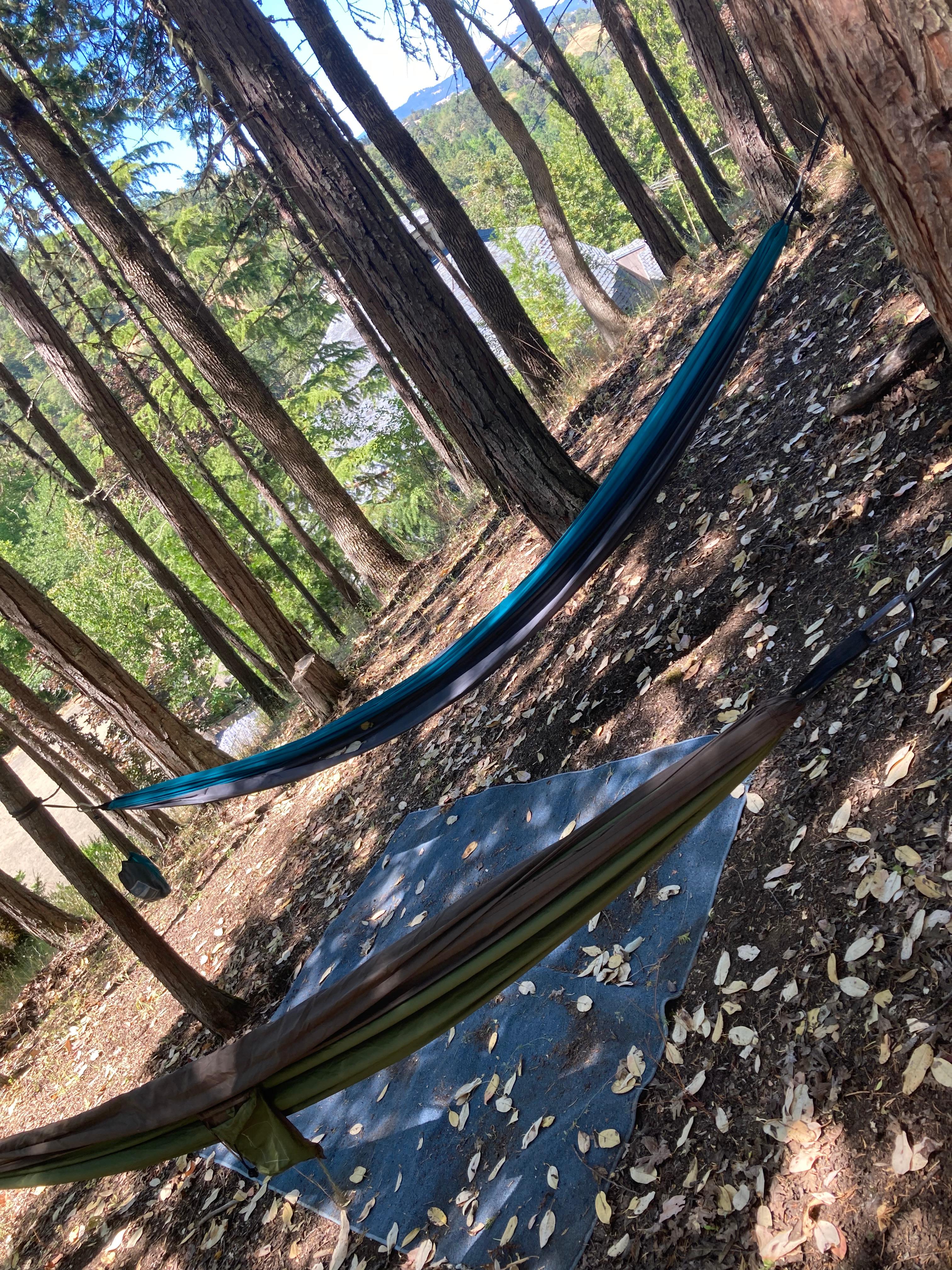 Camp FireBug