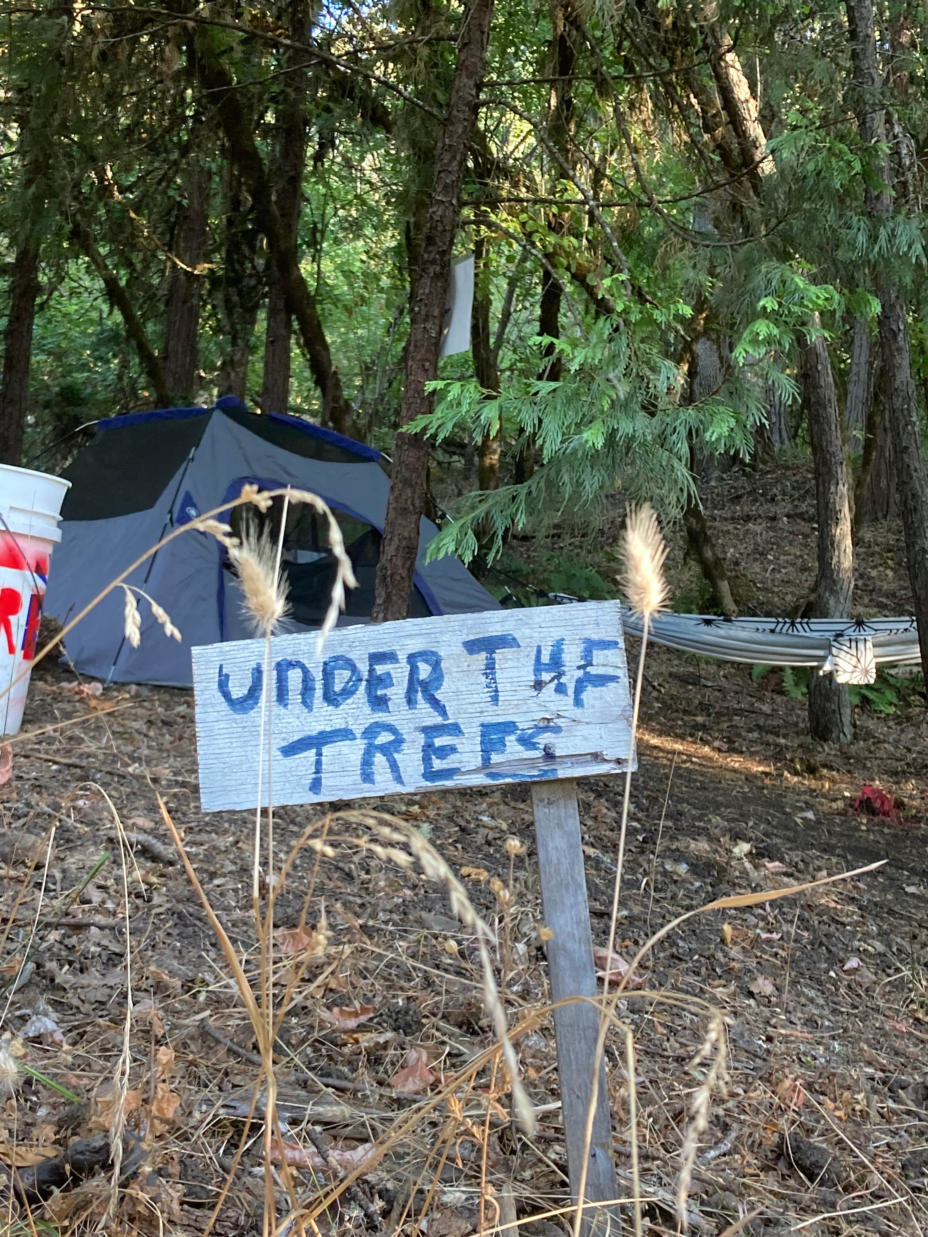 Camp FireBug