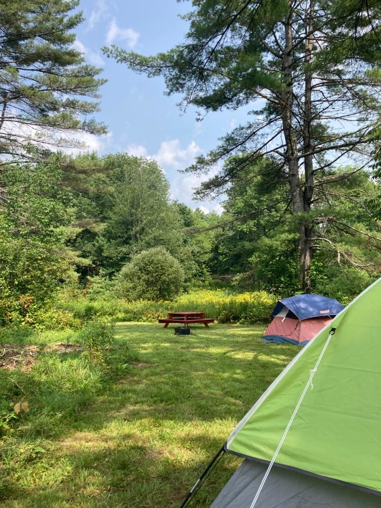 Chickadee Hollow Homestead