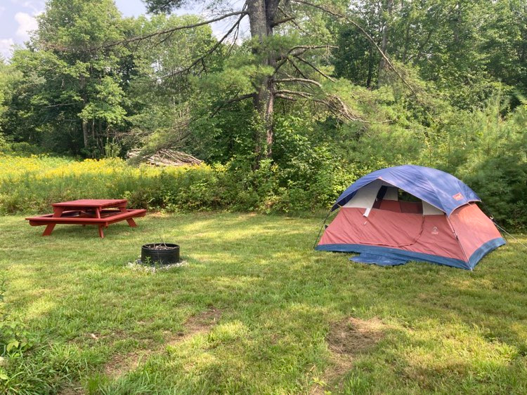 Chickadee Hollow Homestead