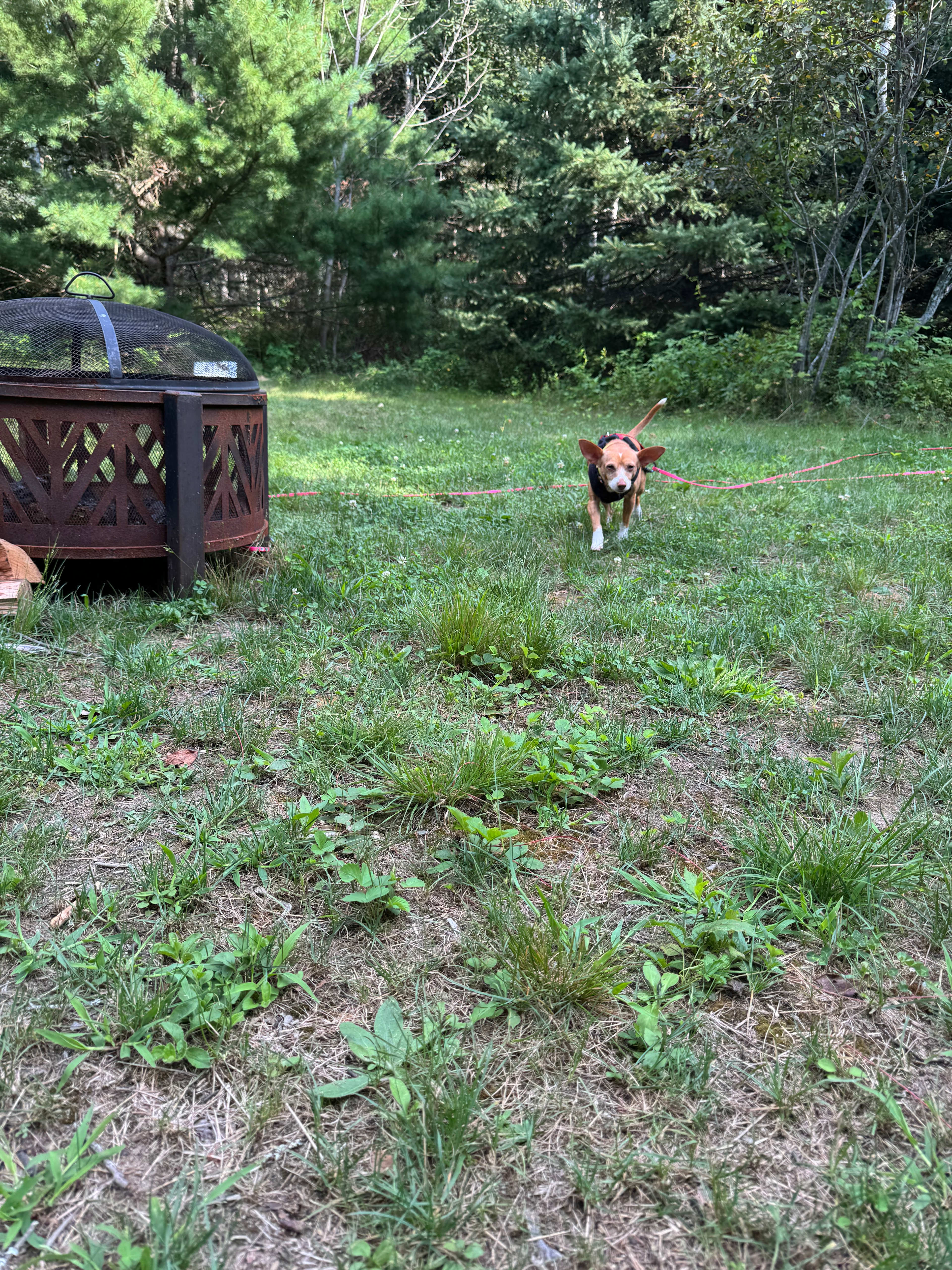 Sublime Coastal Respite