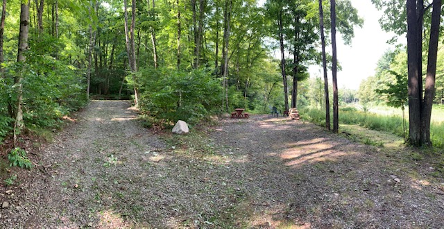 Dragonfly Hollow Farm