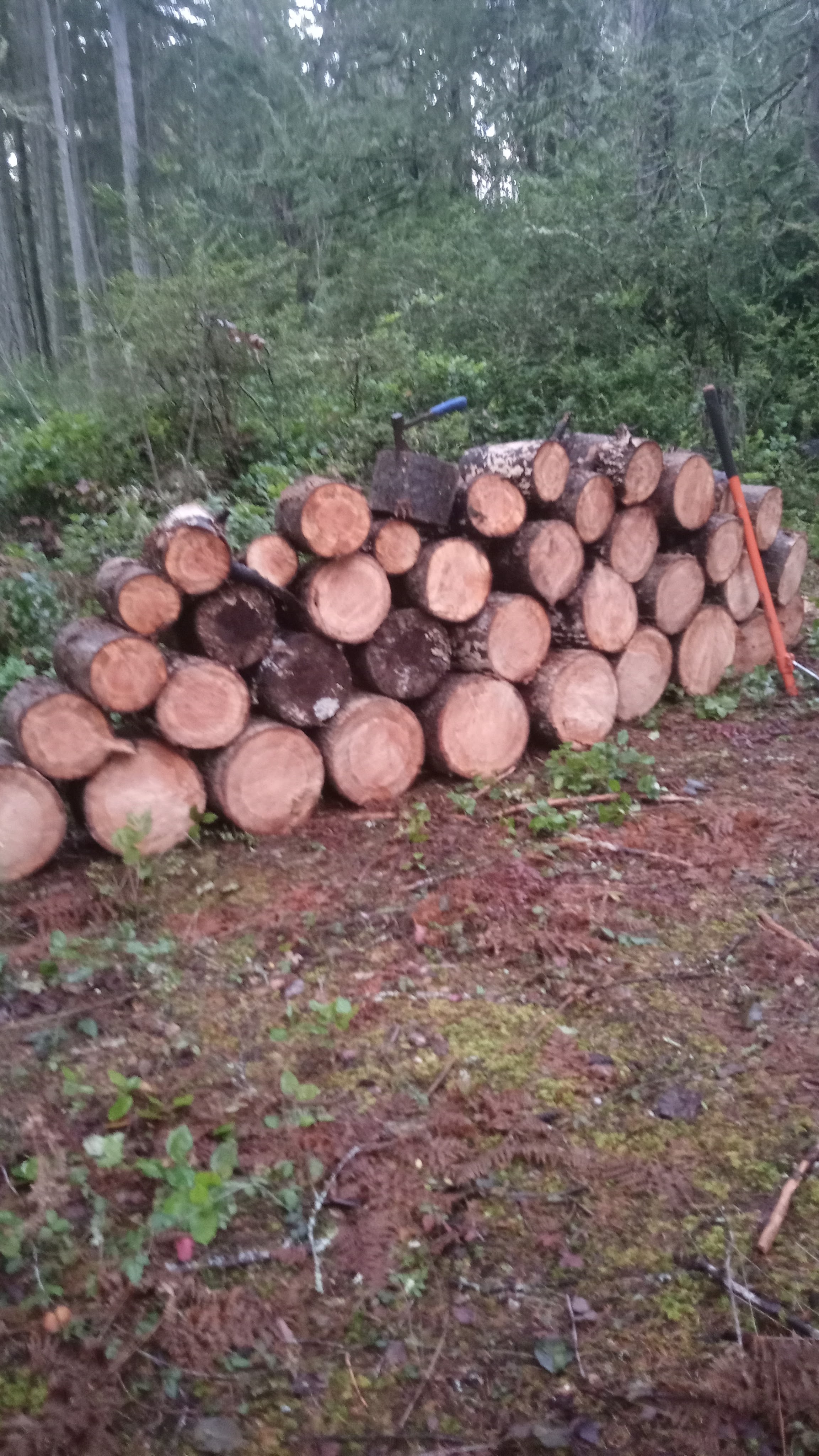 Serenity in Island Life