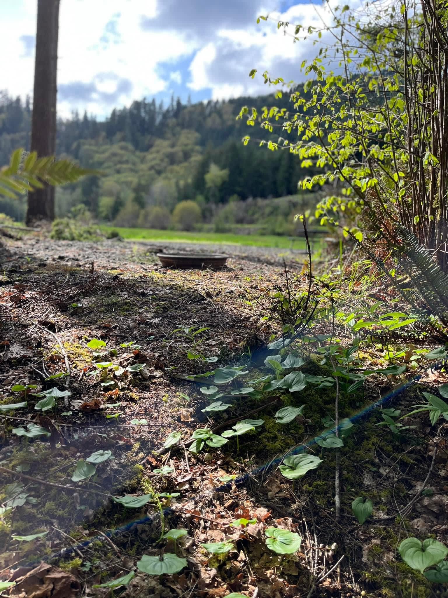 Smith River Campground