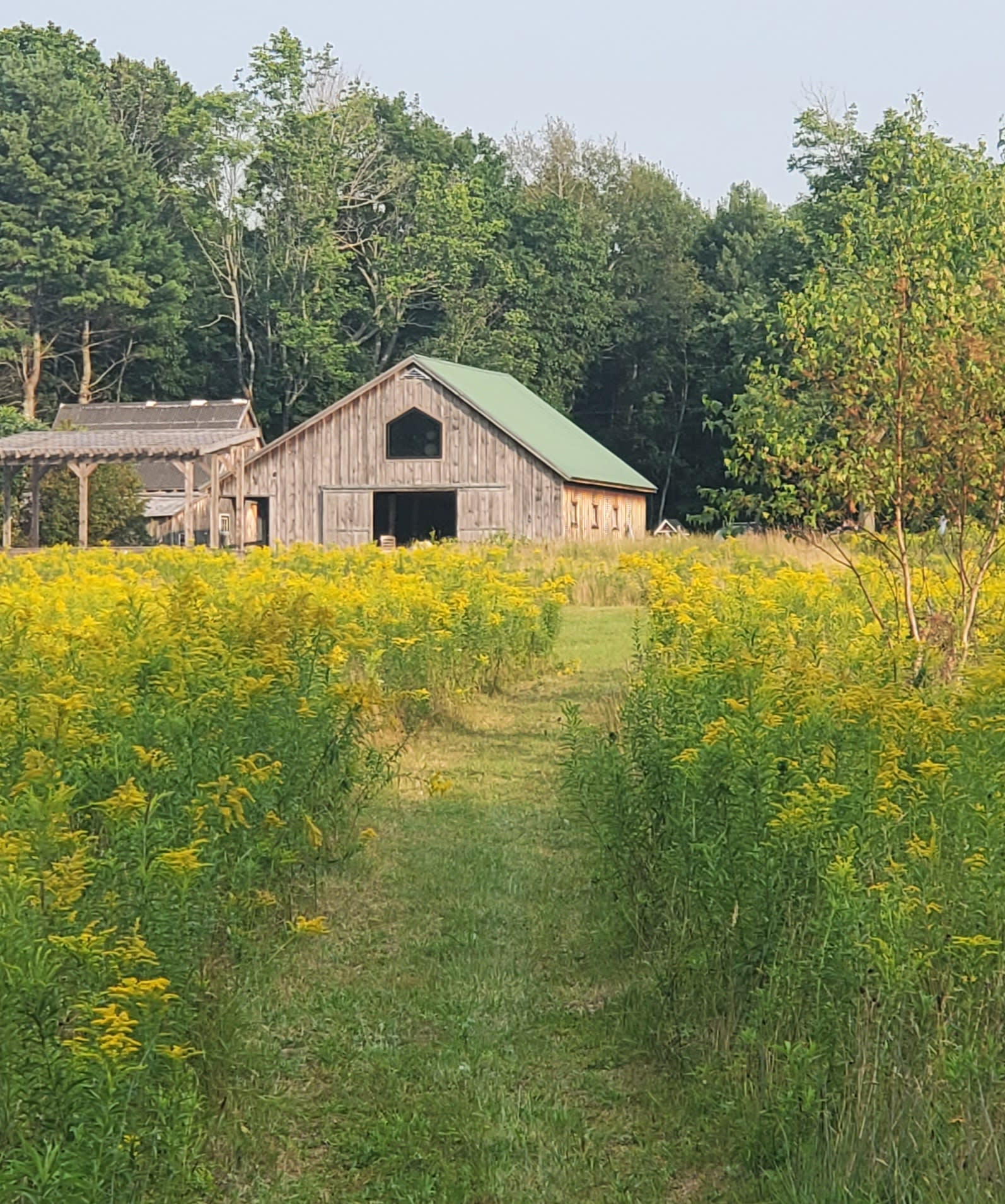 Field of Faith on Lodge Hill