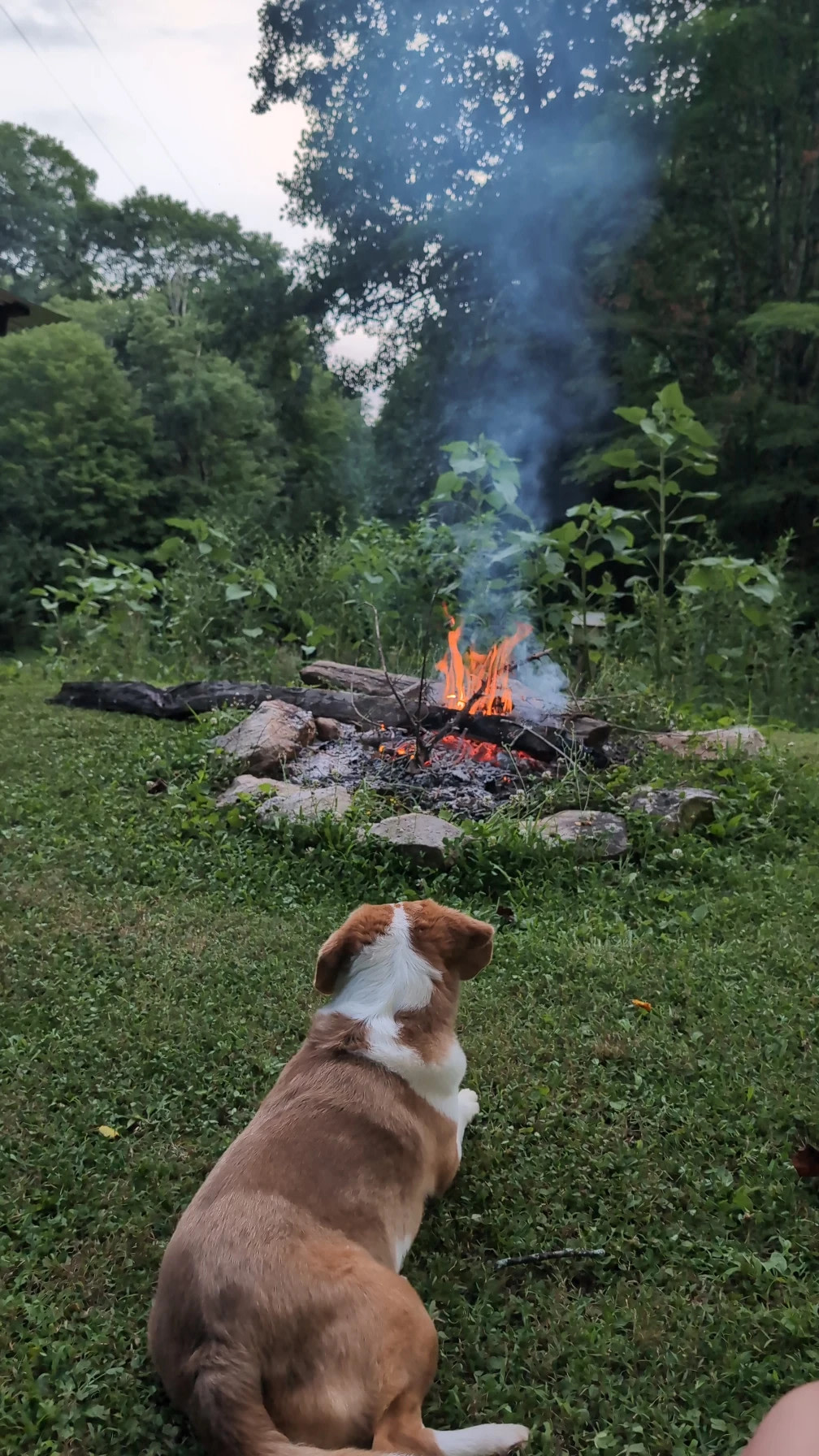 Creekside Camping Max Patch