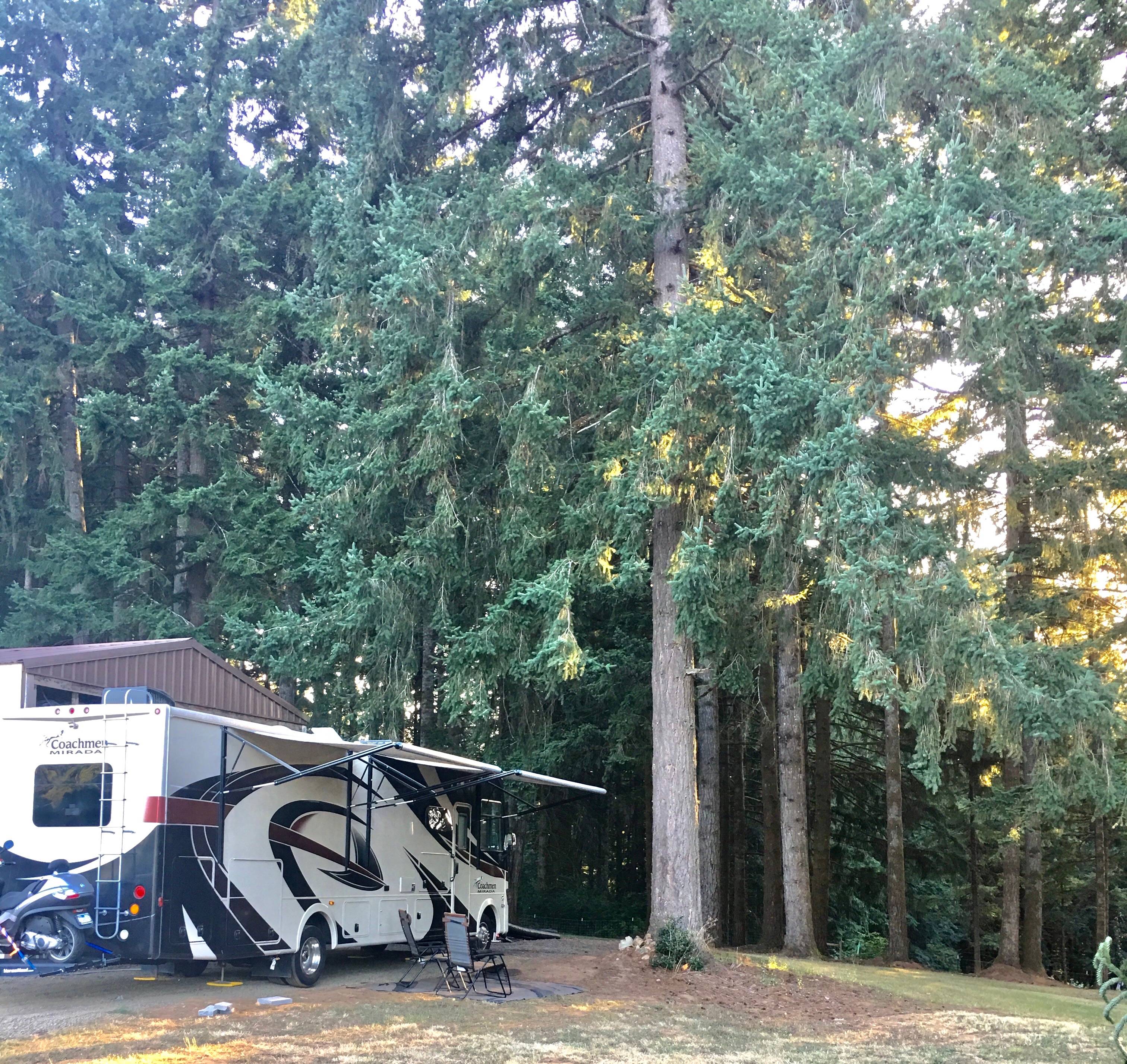 RV Paradise in the Woods