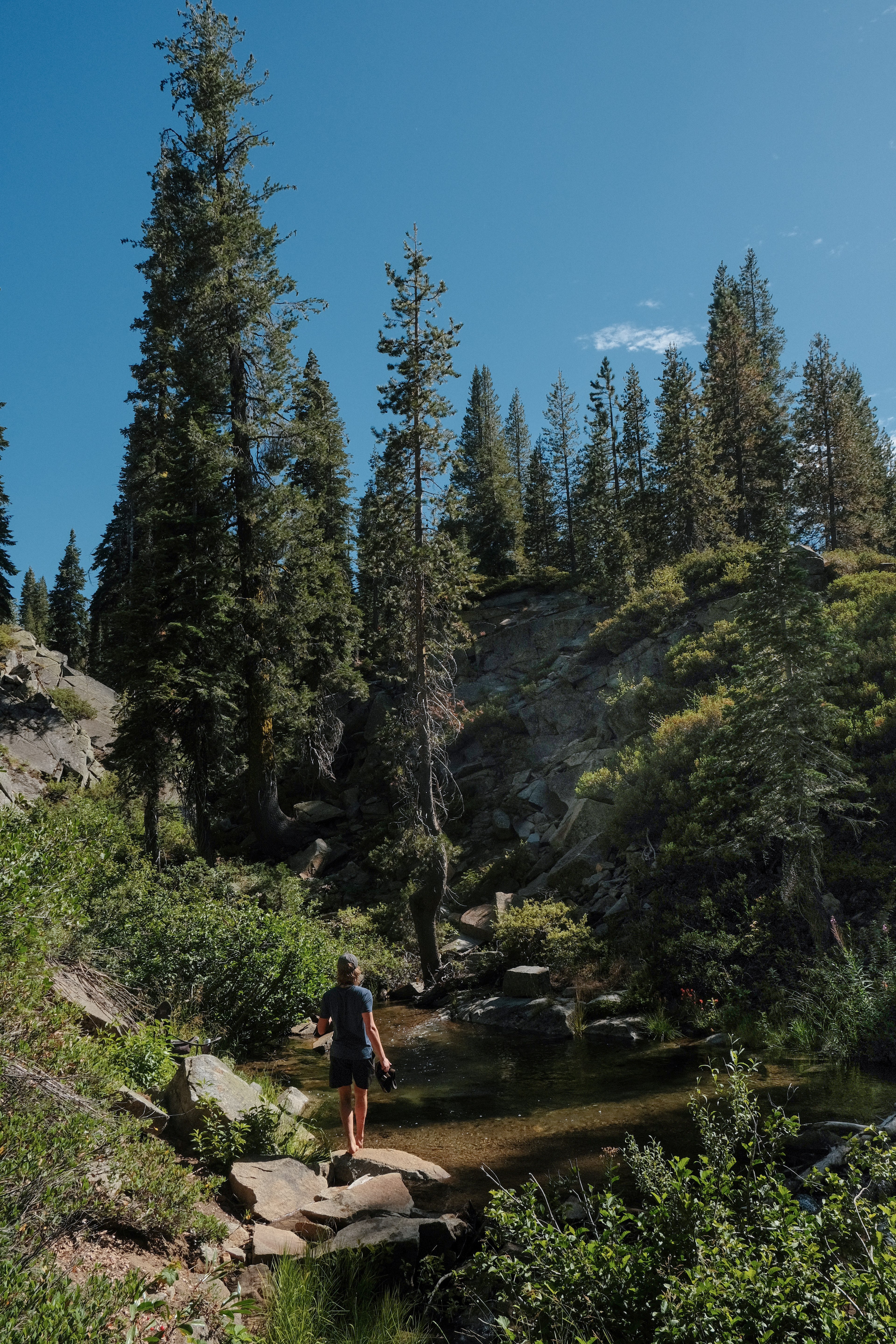 Creek in Kingvale campground