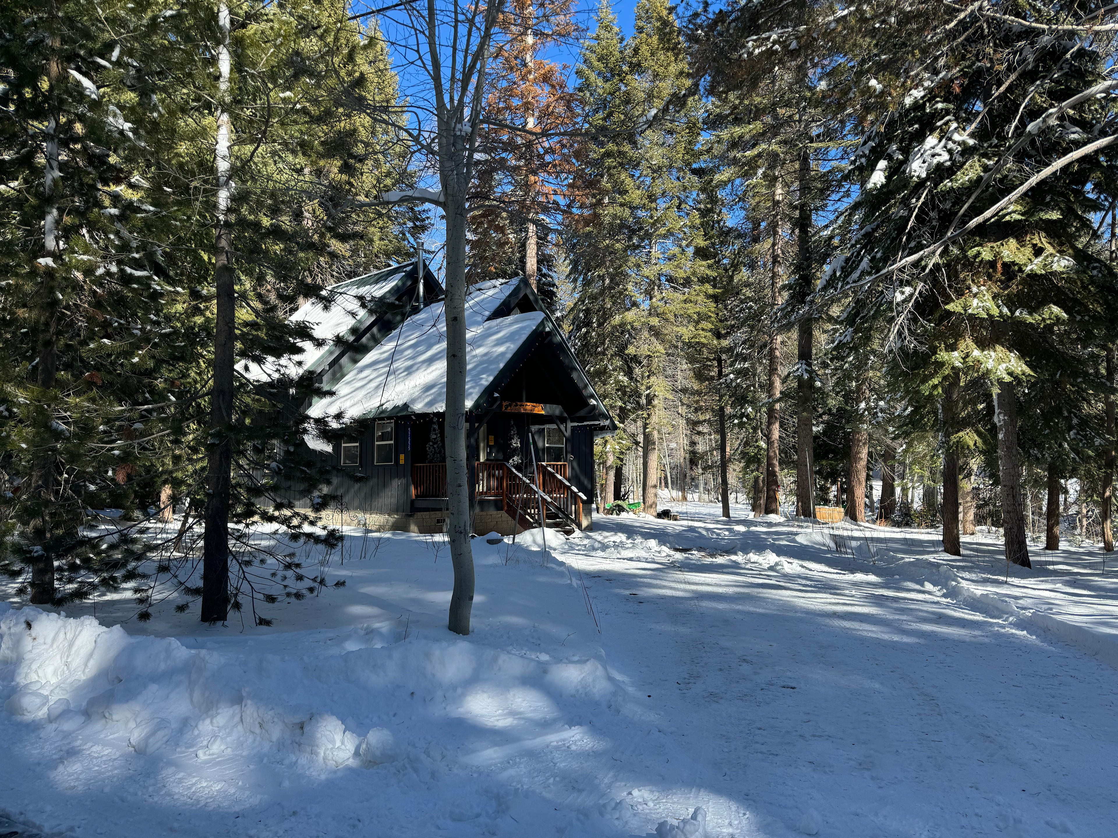 Cabin Grimm