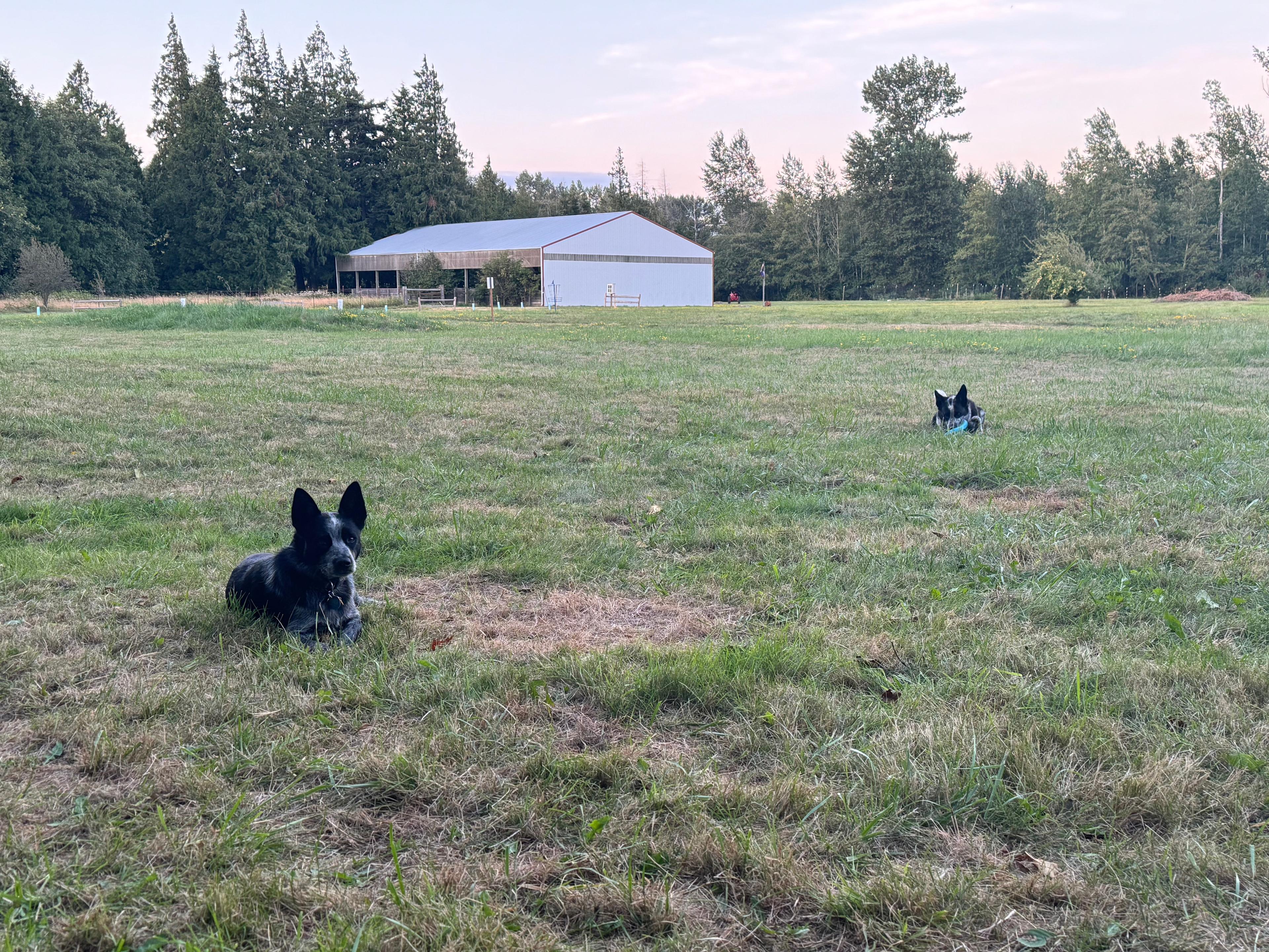 Rural Ranch Getaway