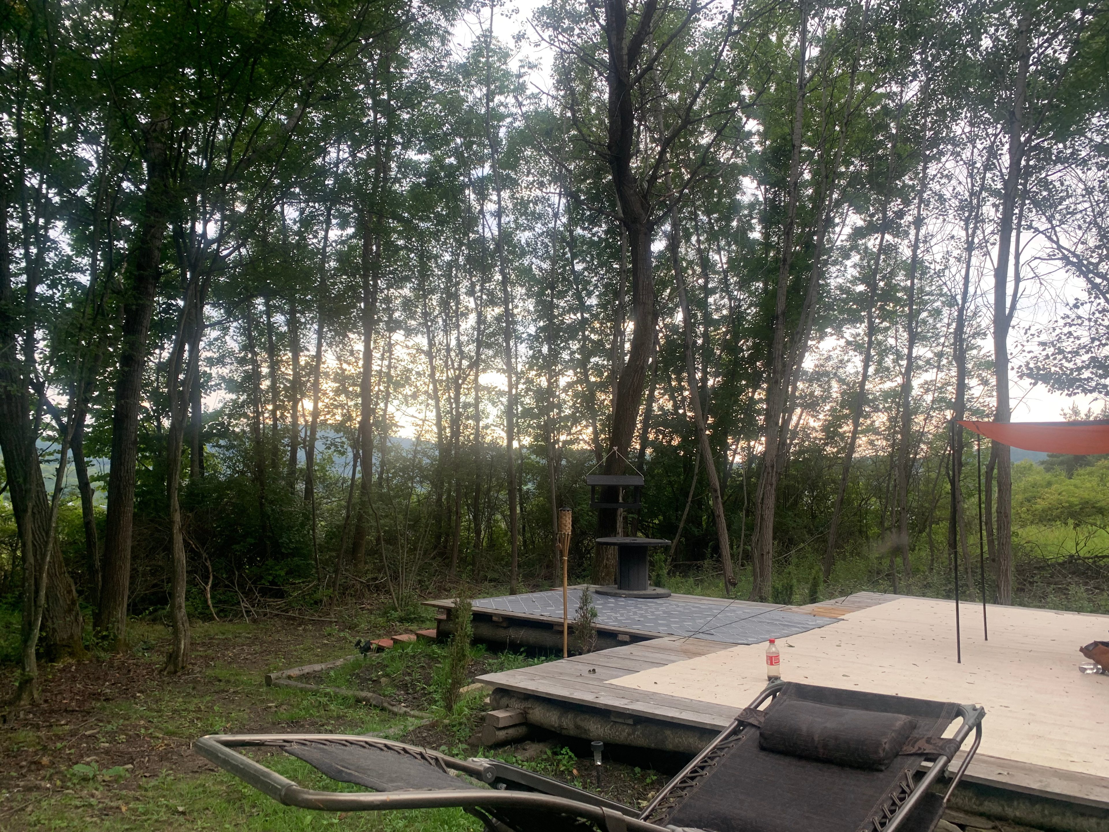 Firefly Acres - Star Gazing Views