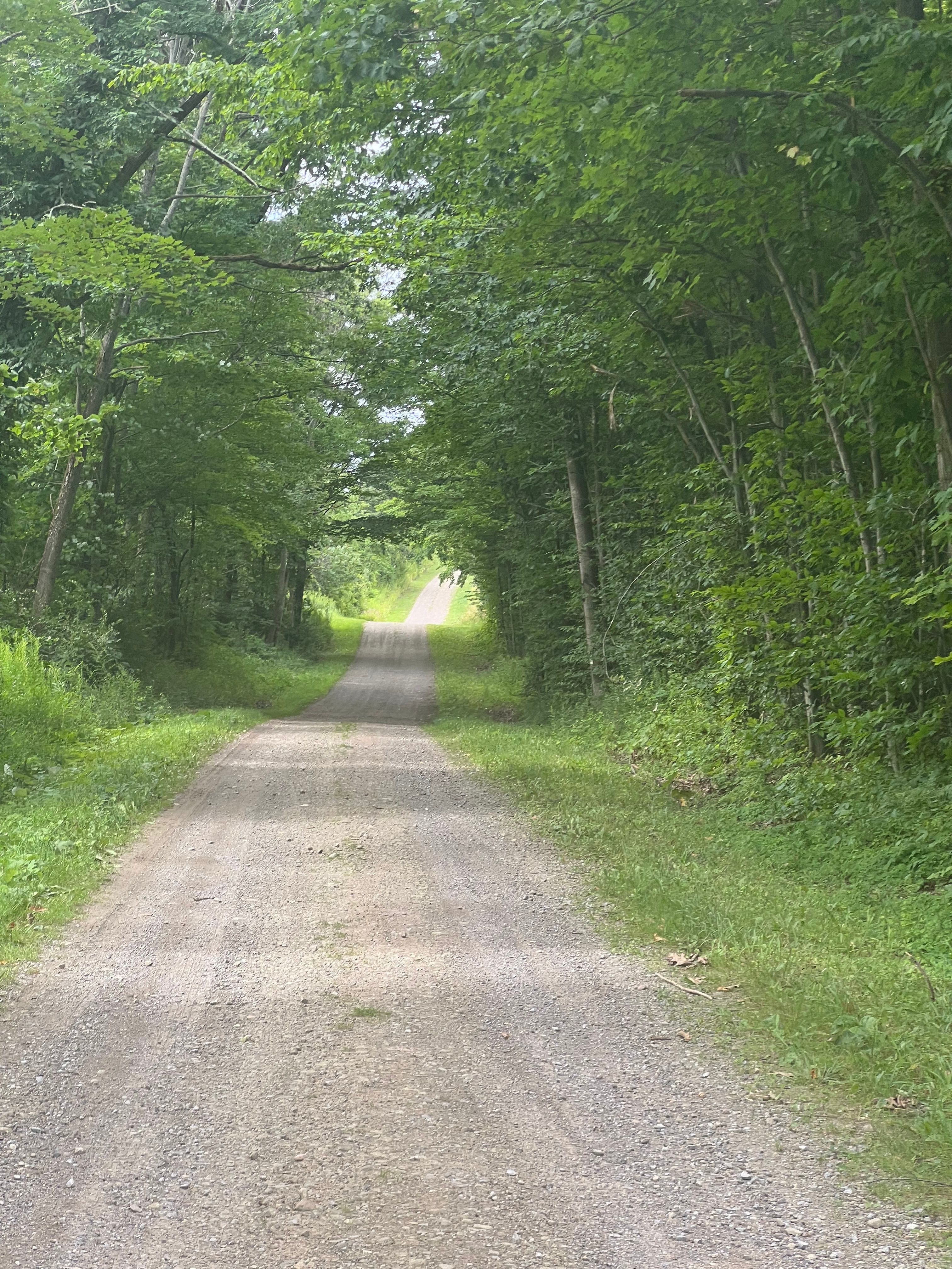 McCormick Farms Base Camp