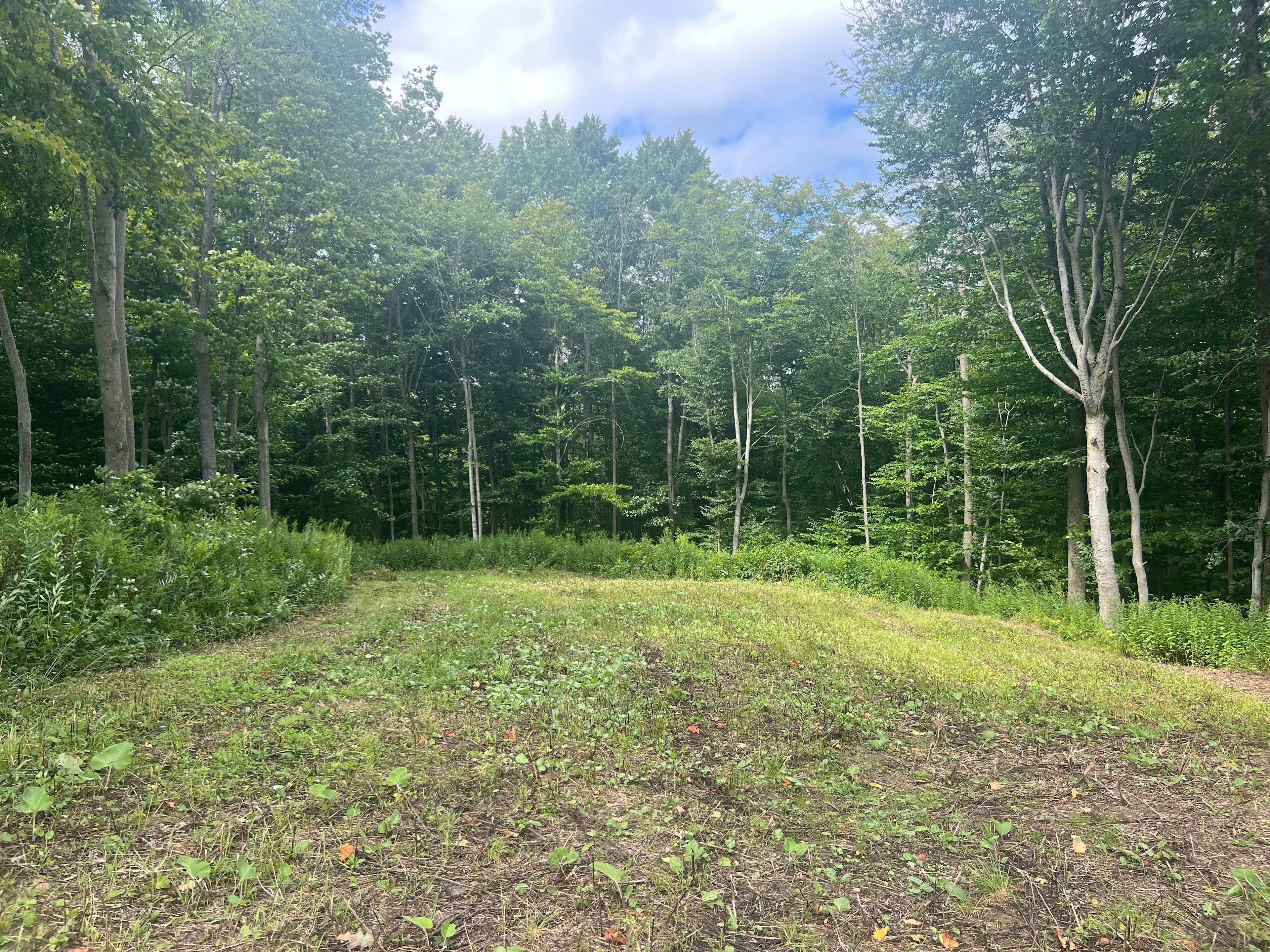McCormick Farms Base Camp