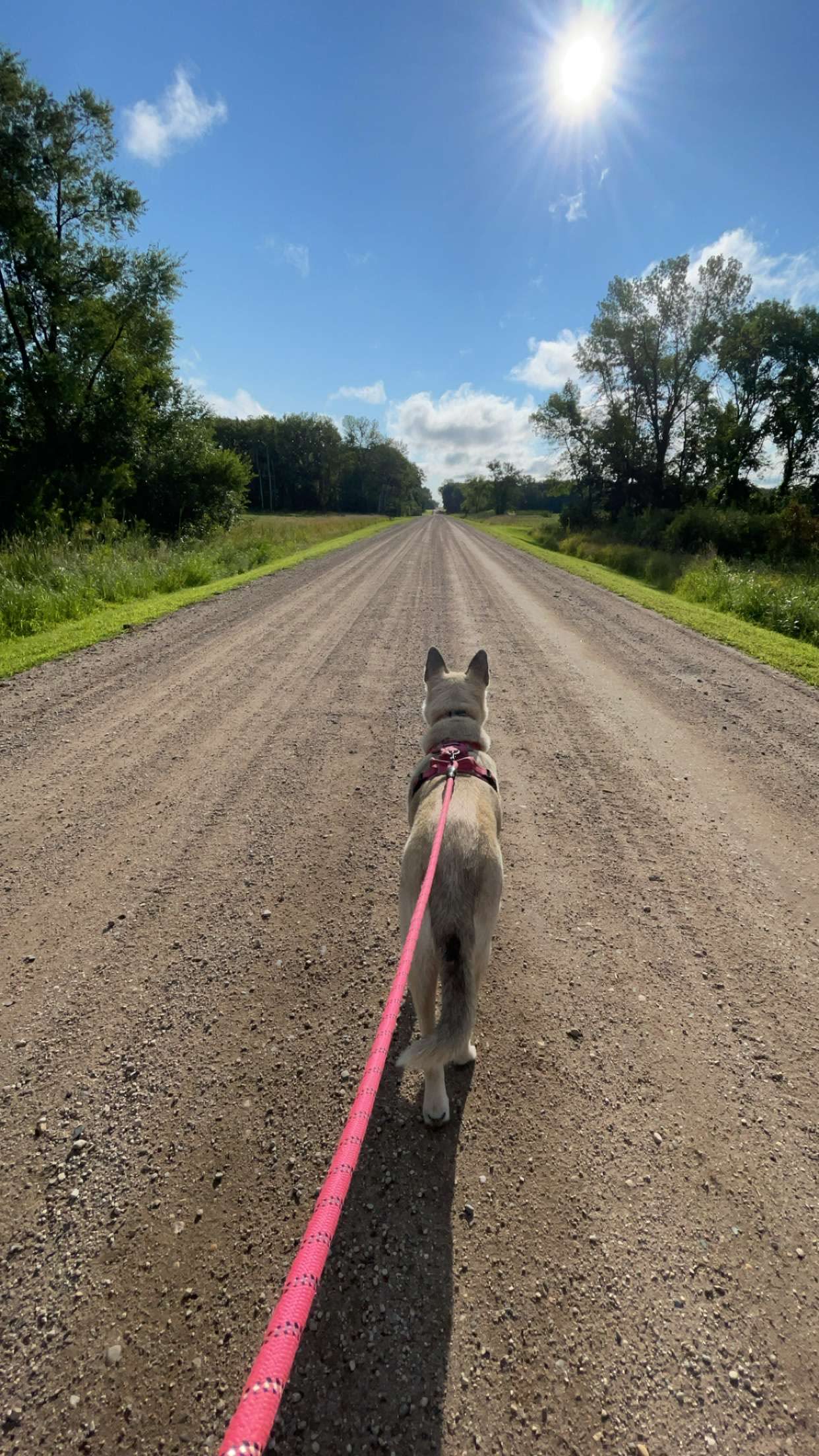 The road out front. 