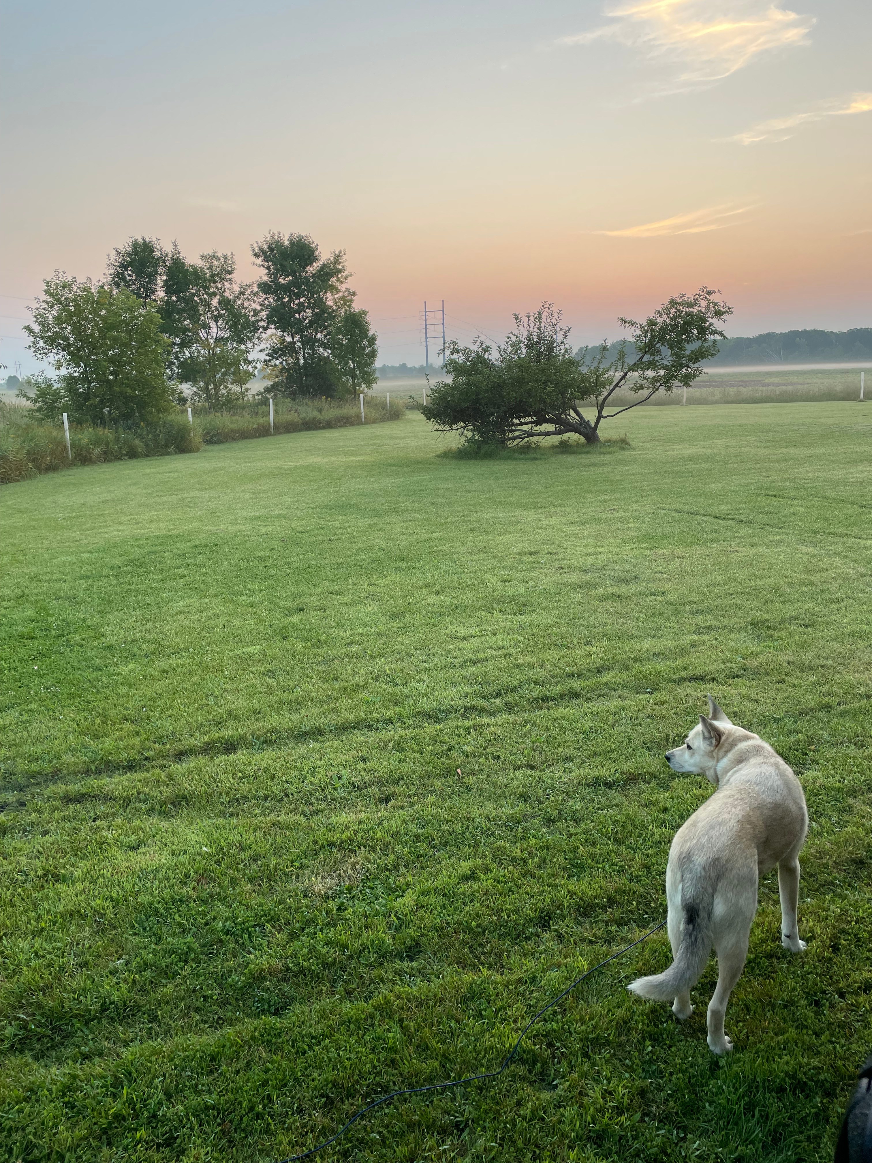 Morning sunrise at Site2