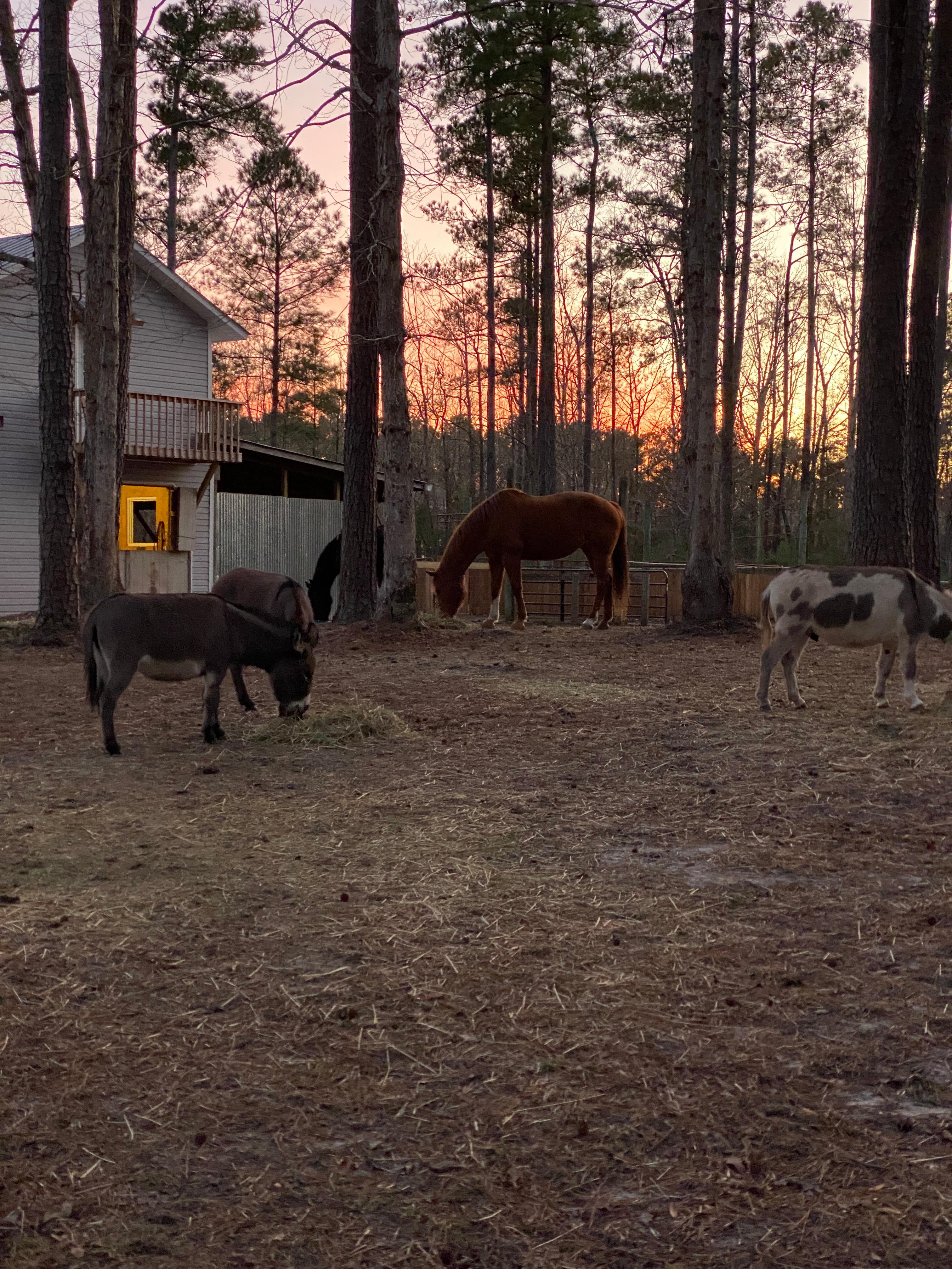 Peaceful Pastures Retreat