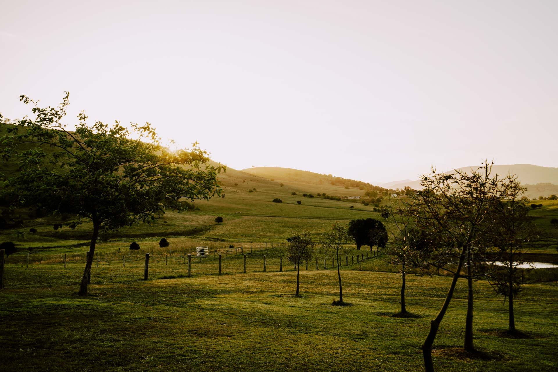 Milford Country Cottages