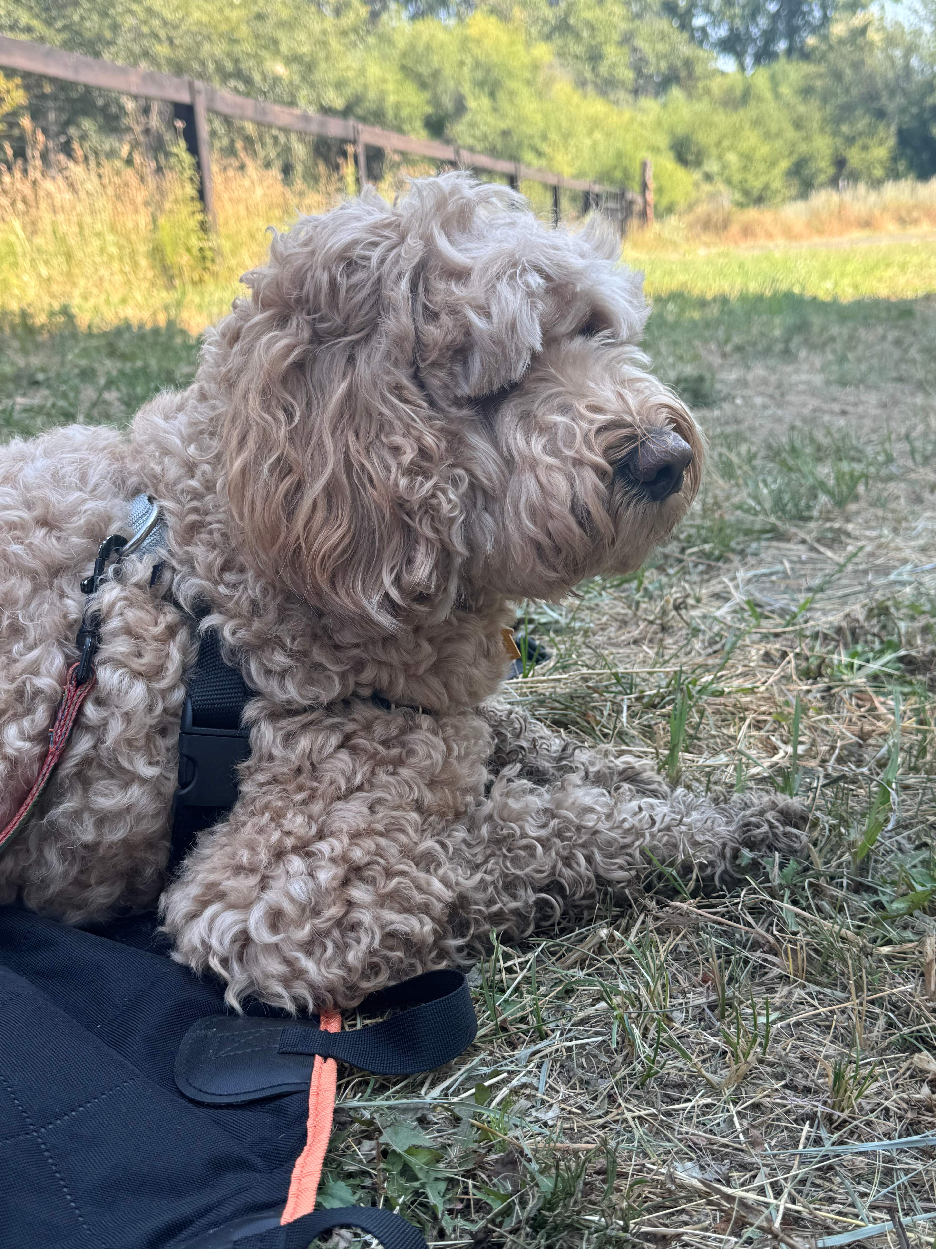 River's Edge Escape & Fish Camp