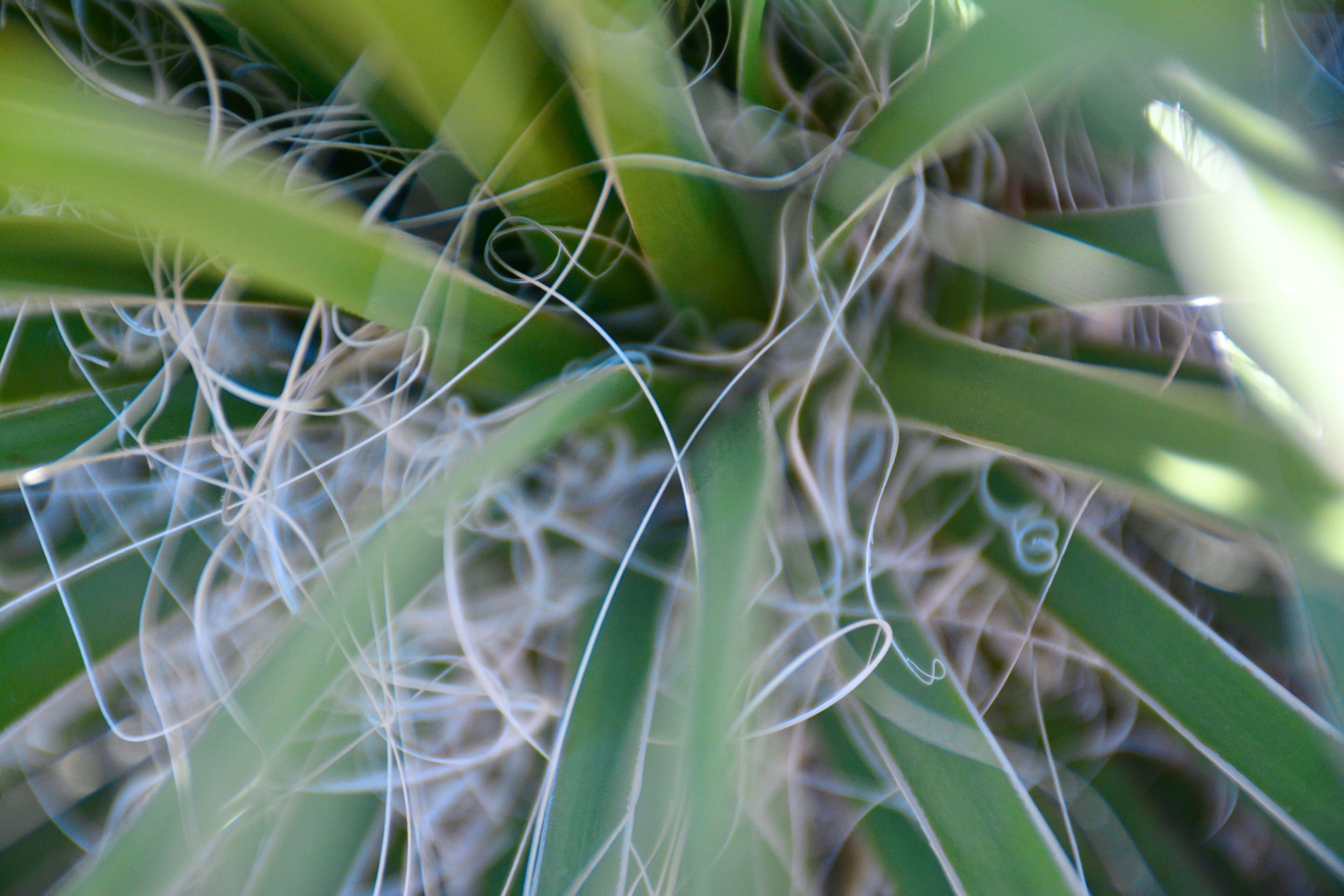 Mountain View RV Park