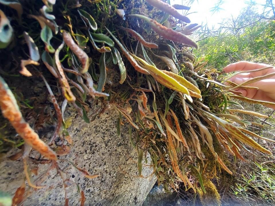 Murrumbooee ~ Waterfall Paradise!