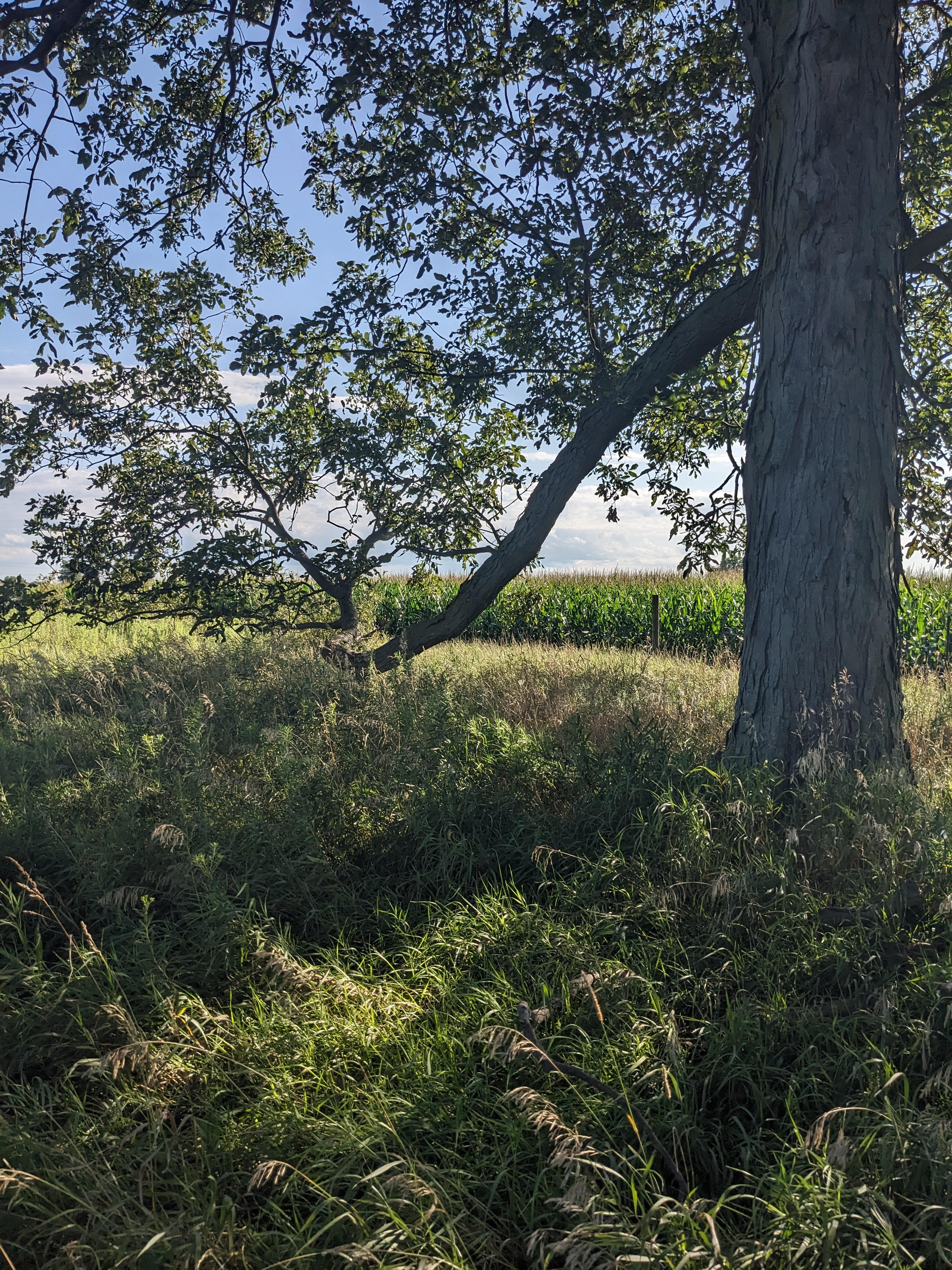 Powers Farm Camp Site