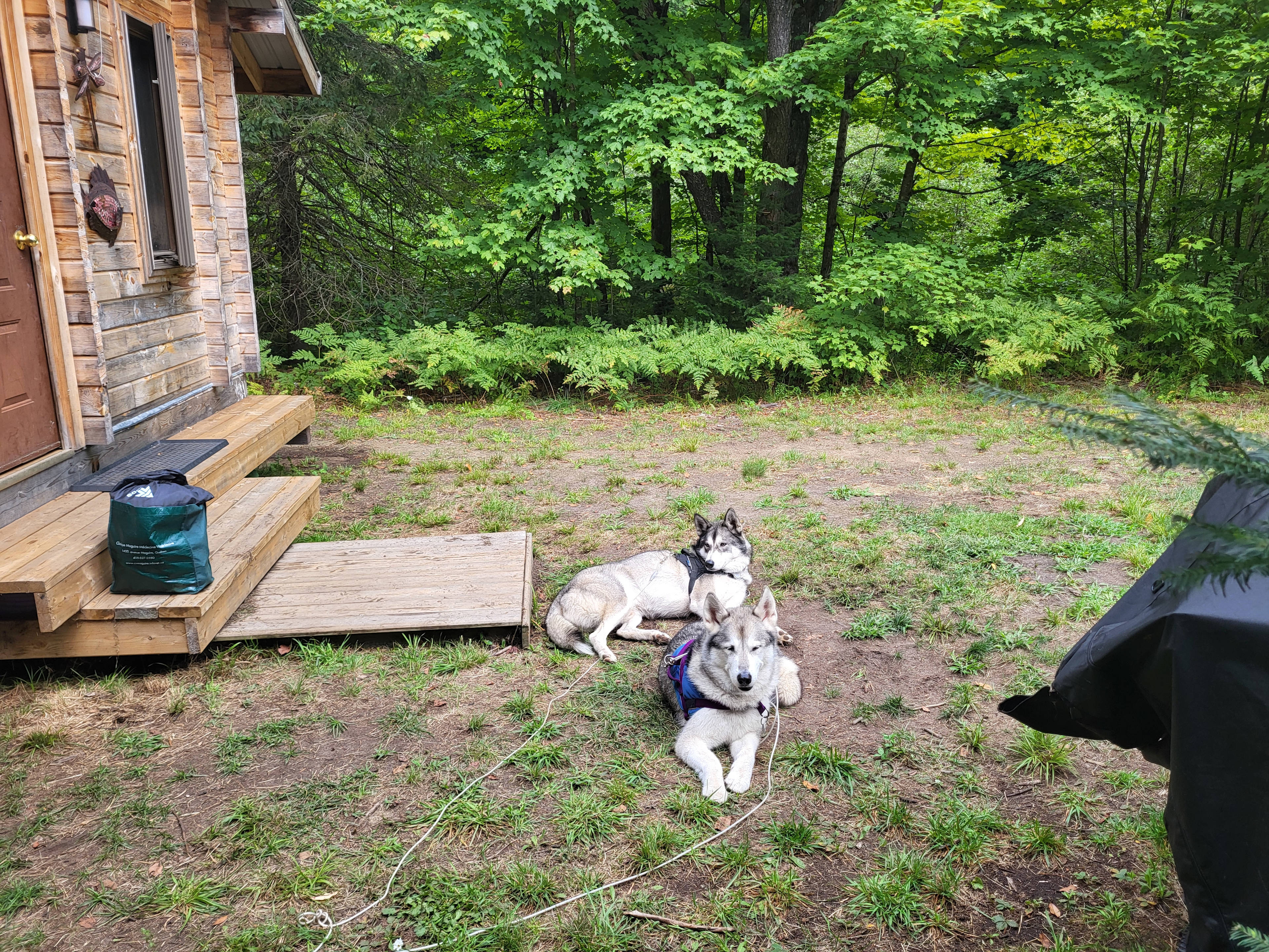 Maple Rivers Log Cabins