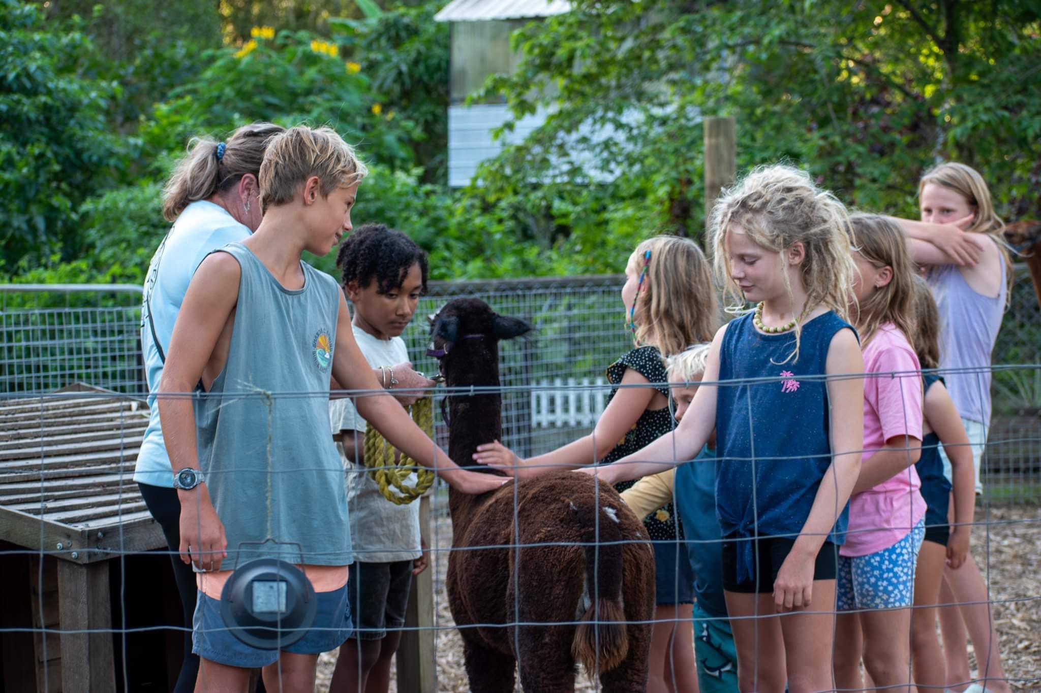 Paperbark Camp & Farm Stay