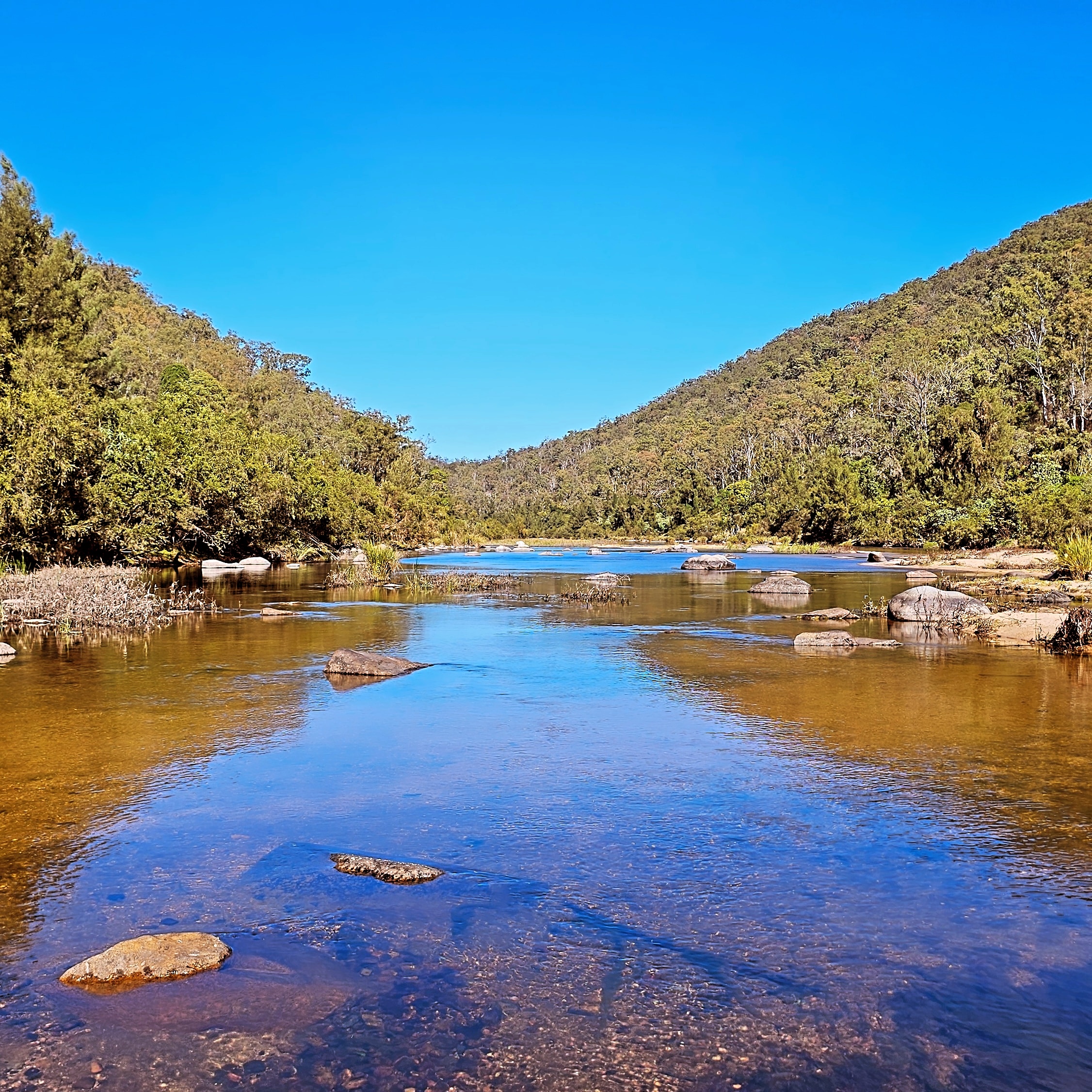 Eagle Ridge Bush Retreat
