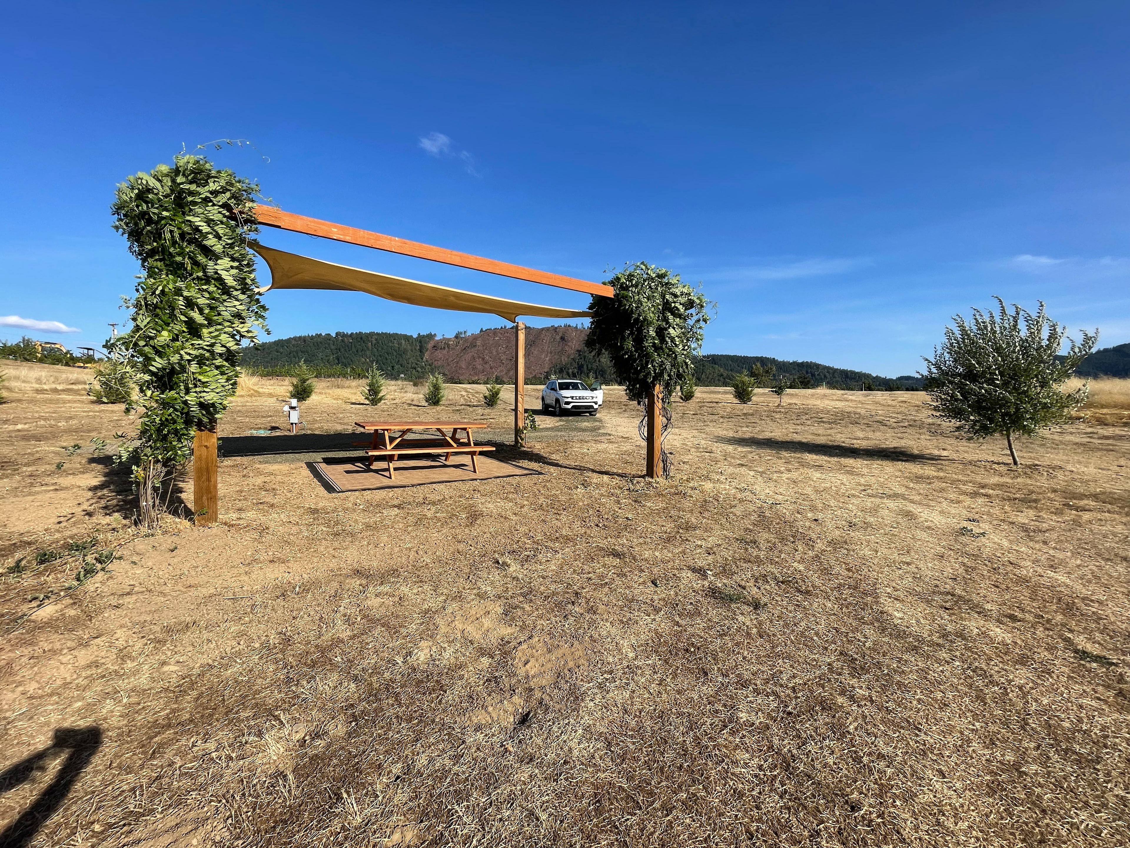 Hideaway At The Vineyard