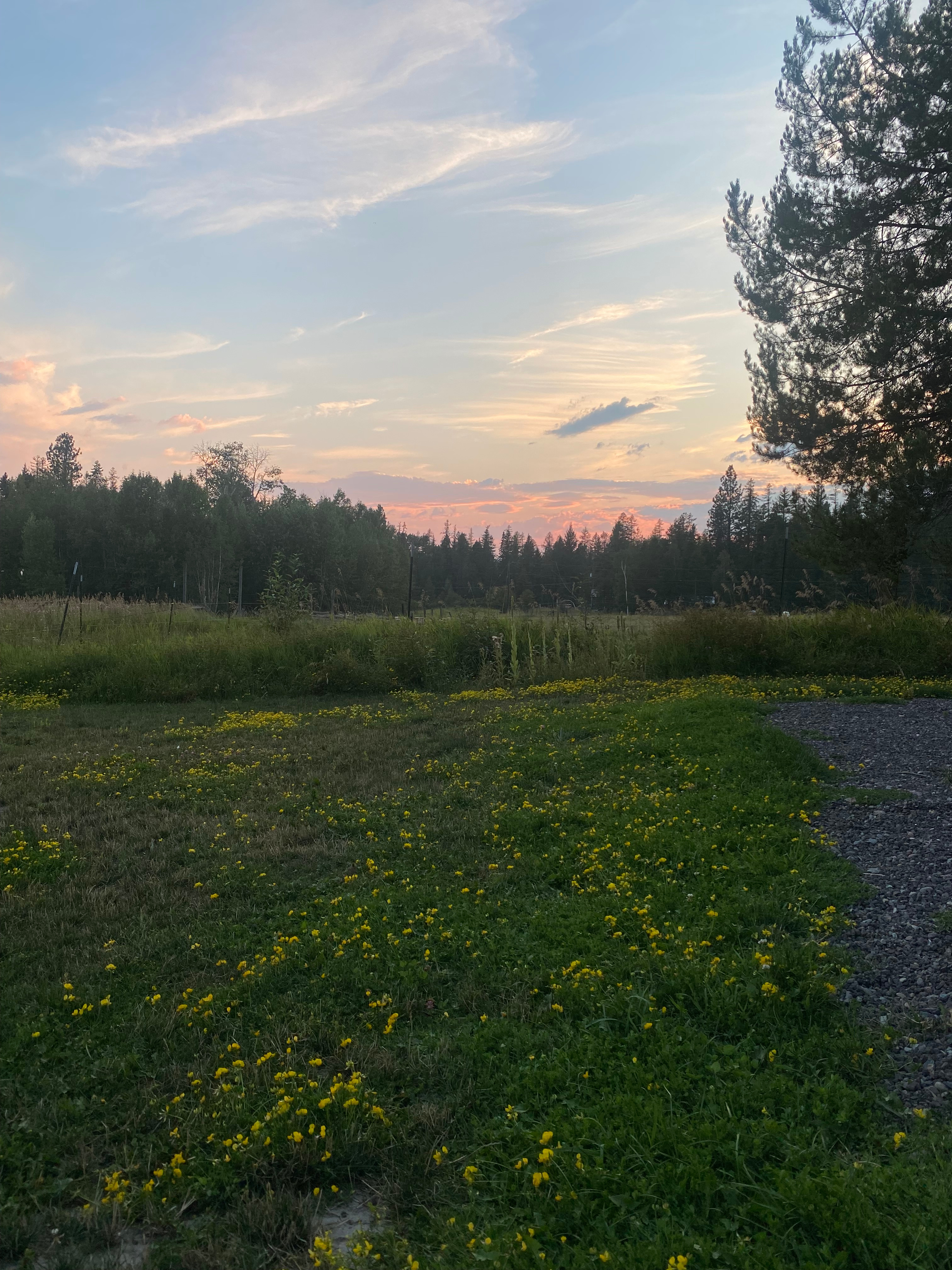 Malarky's Meadow RV spot