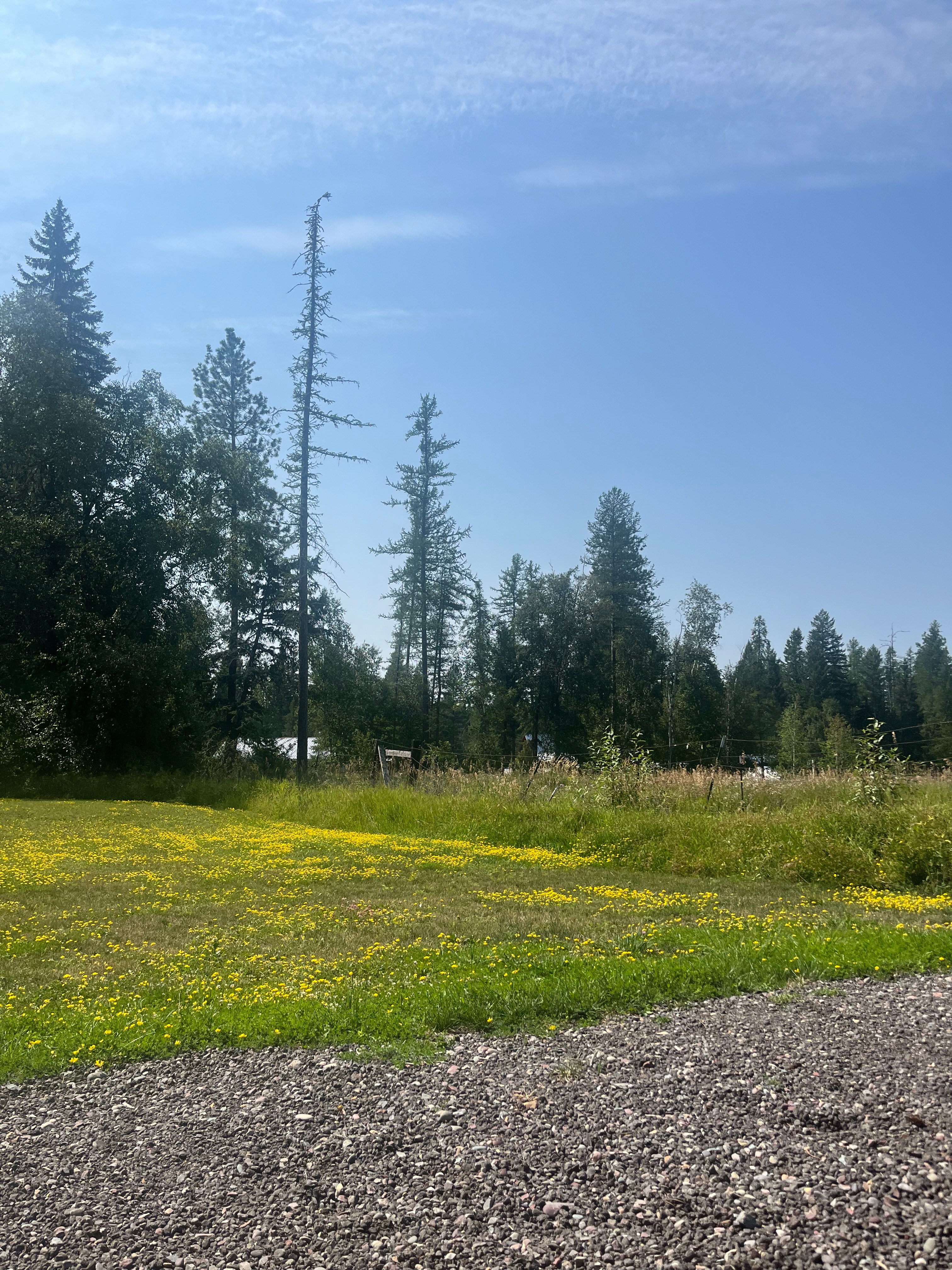 Malarky's Meadow RV spot