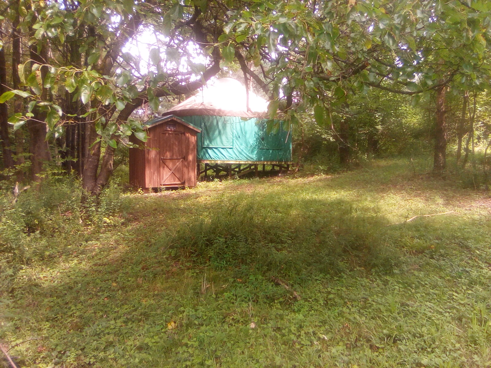 The Yurt On Bald Hill