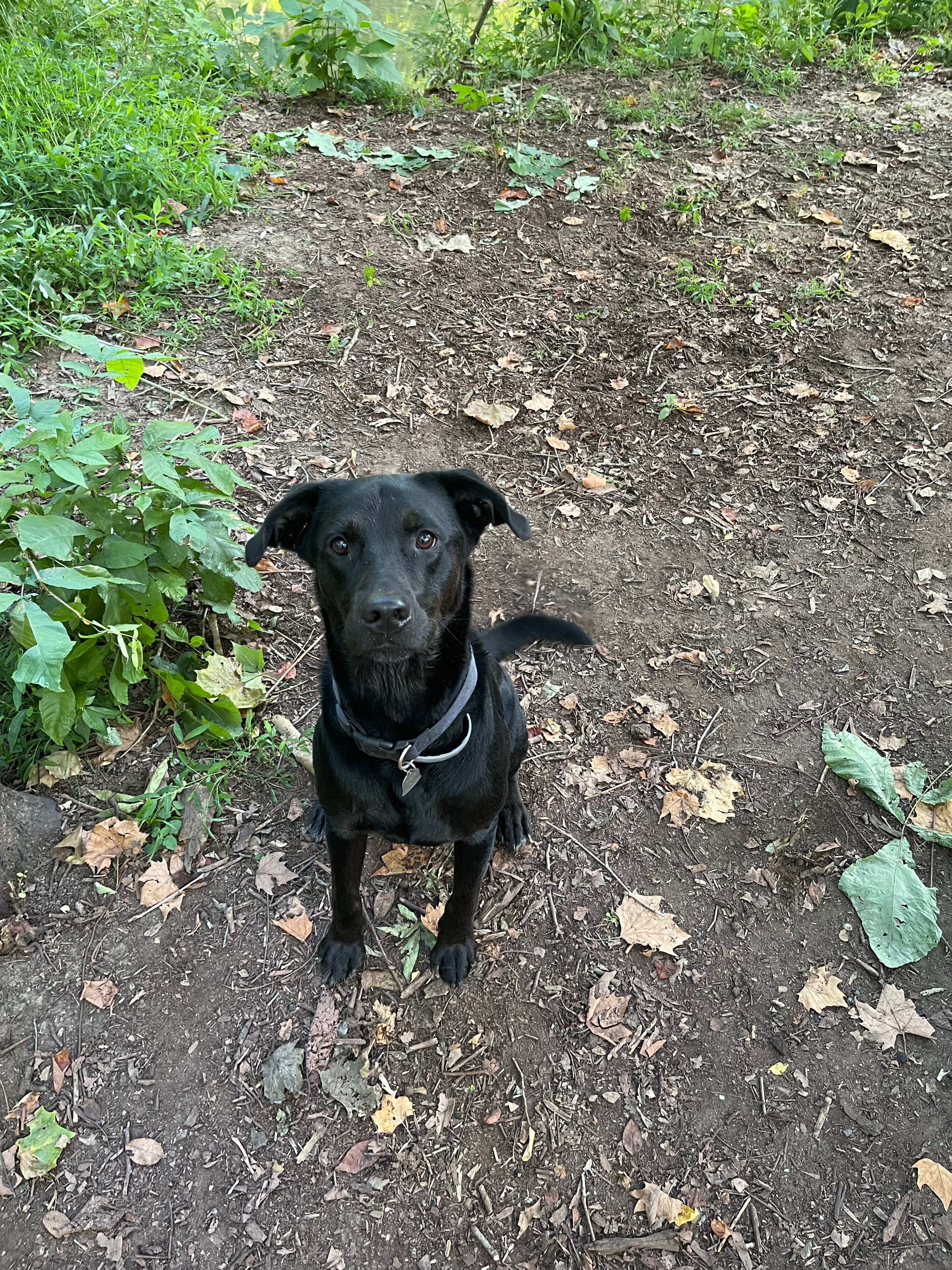 Bass and Buck Tent Adventures