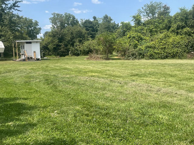 Grassy common area, looking at the bathhouse.  