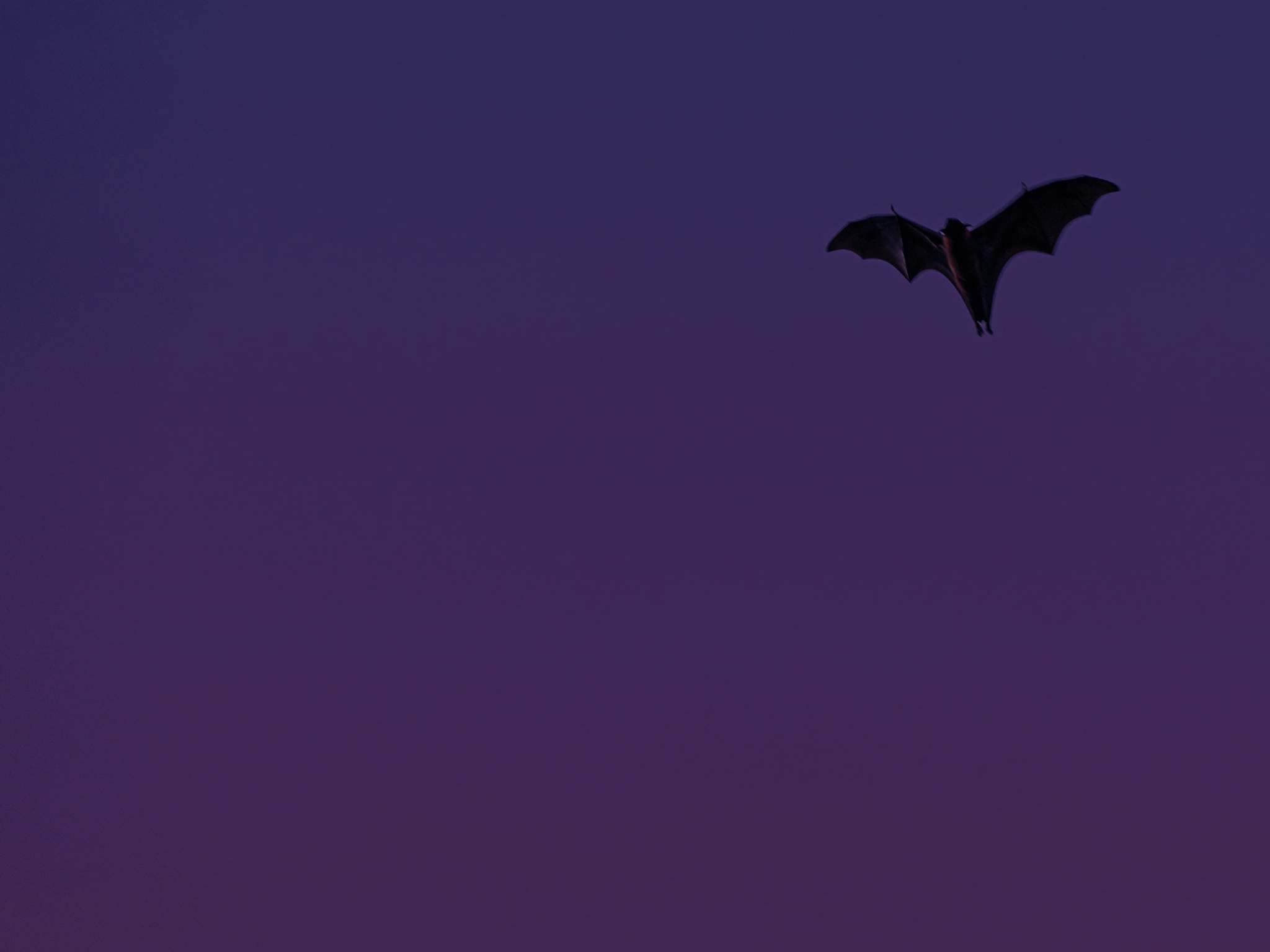 Cover photo for Mammoth Cave National Park