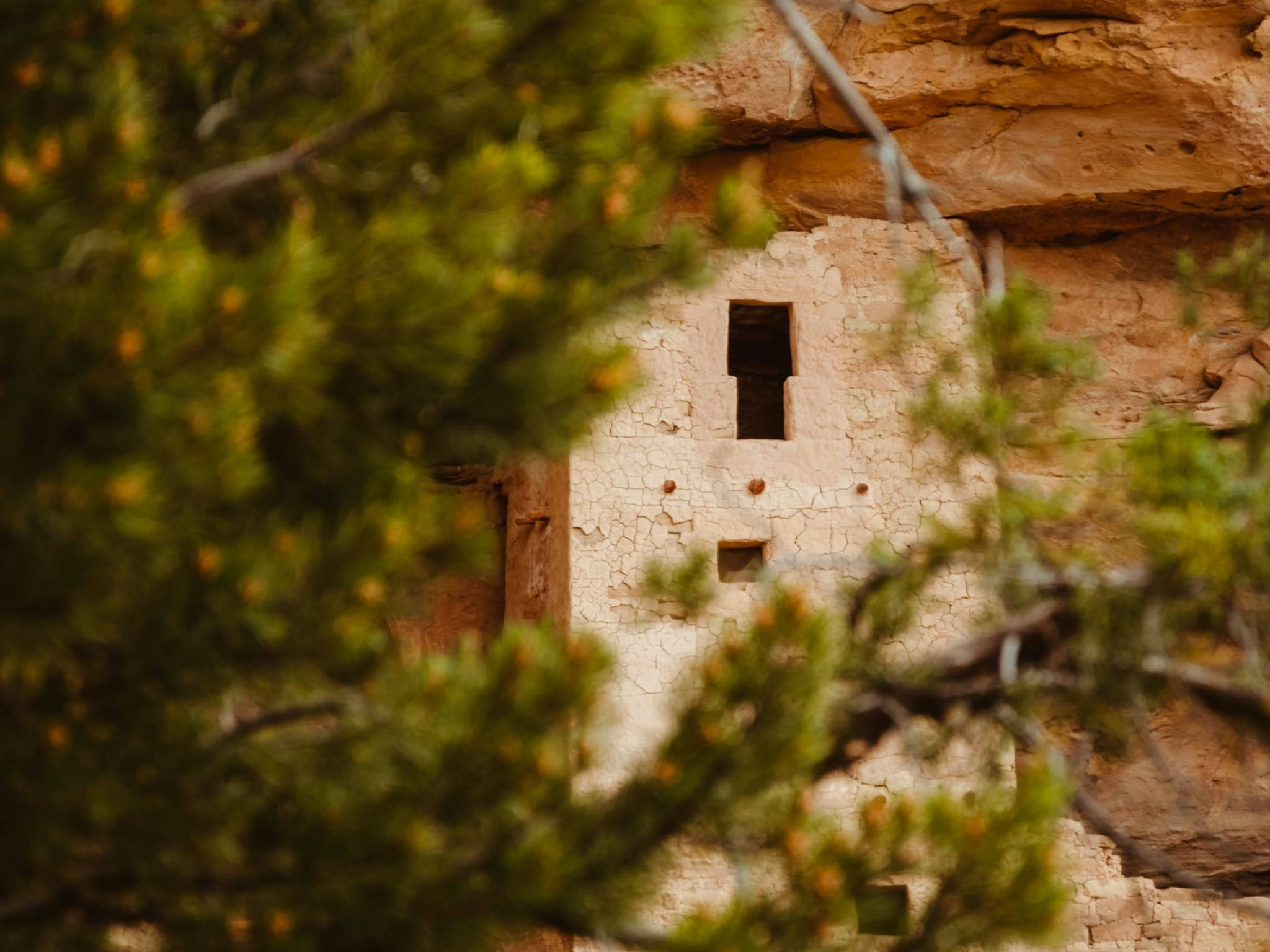 Cover photo for Mesa Verde National Park