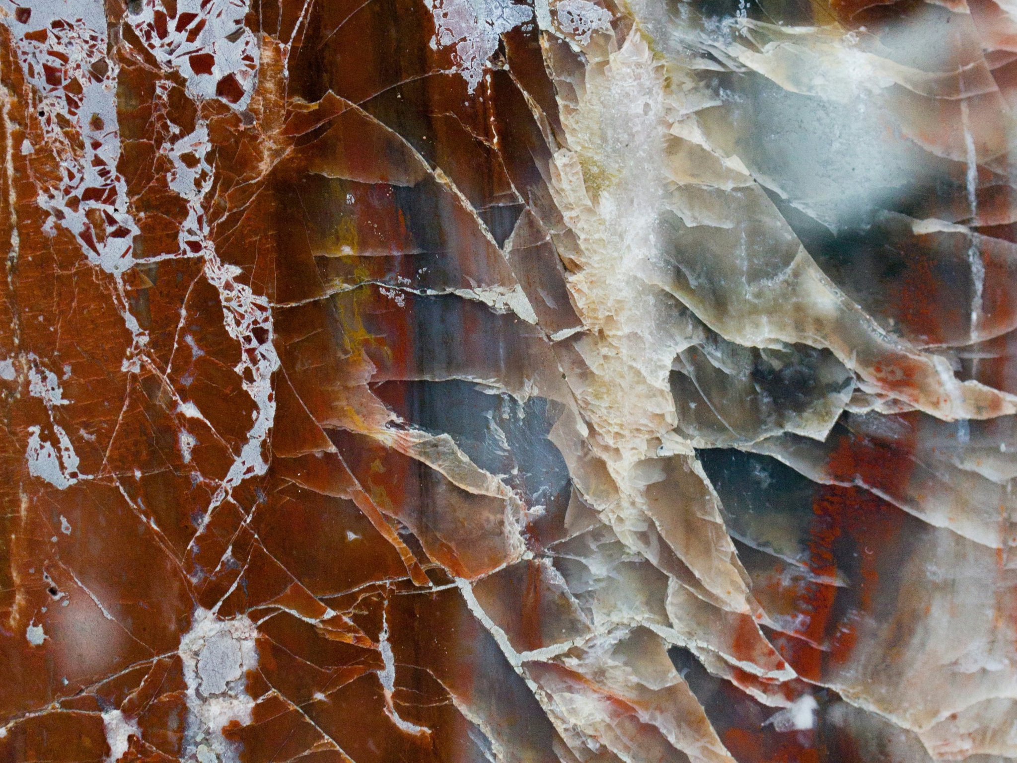 Cover photo for Petrified Forest National Park