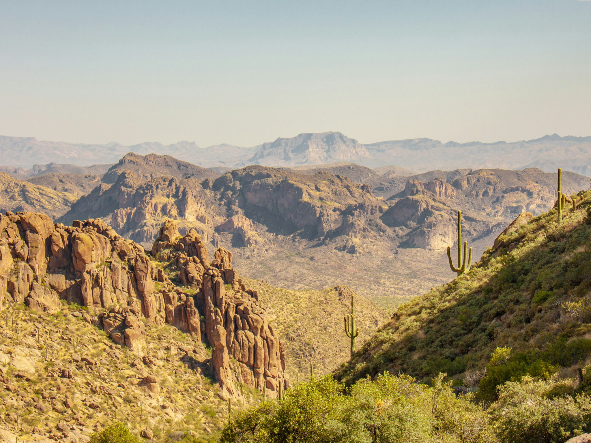 Cover photo for Saguaro National Park