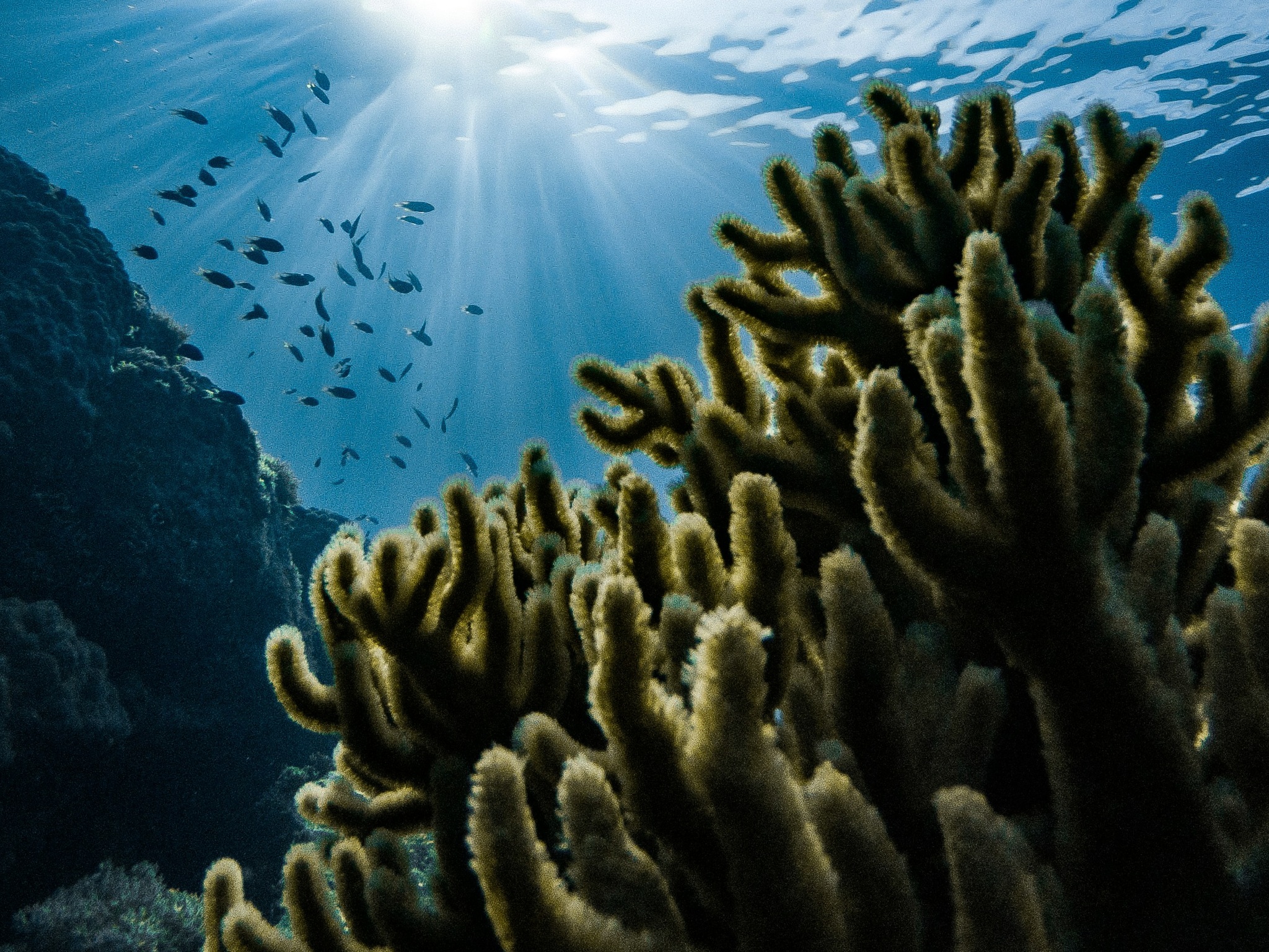 Cover photo for Virgin Islands National Park