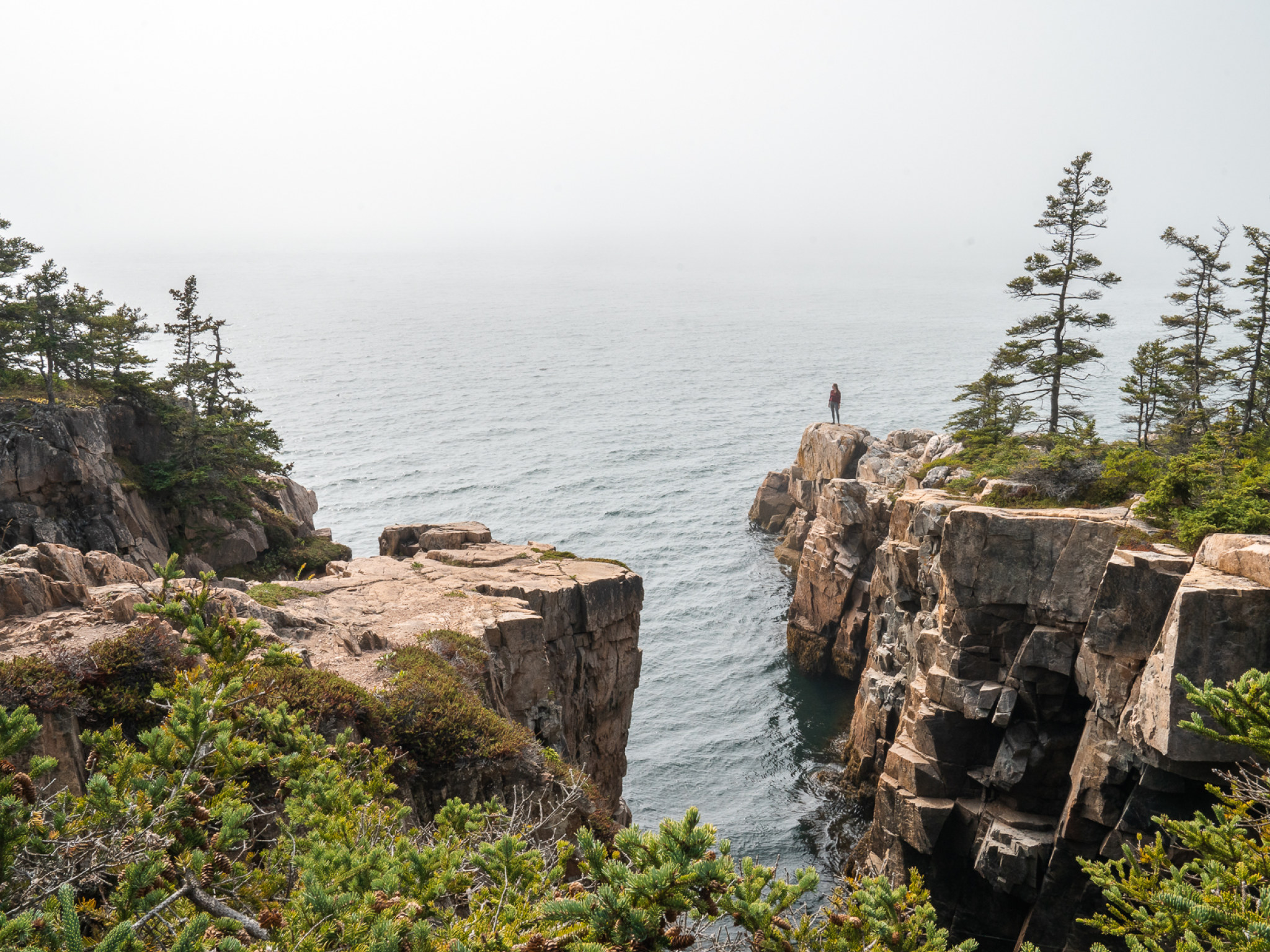 Cover photo for Acadia National Park
