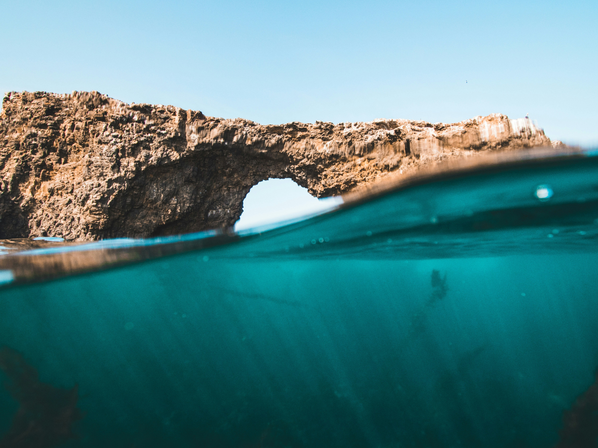 Cover photo for Channel Islands National Park