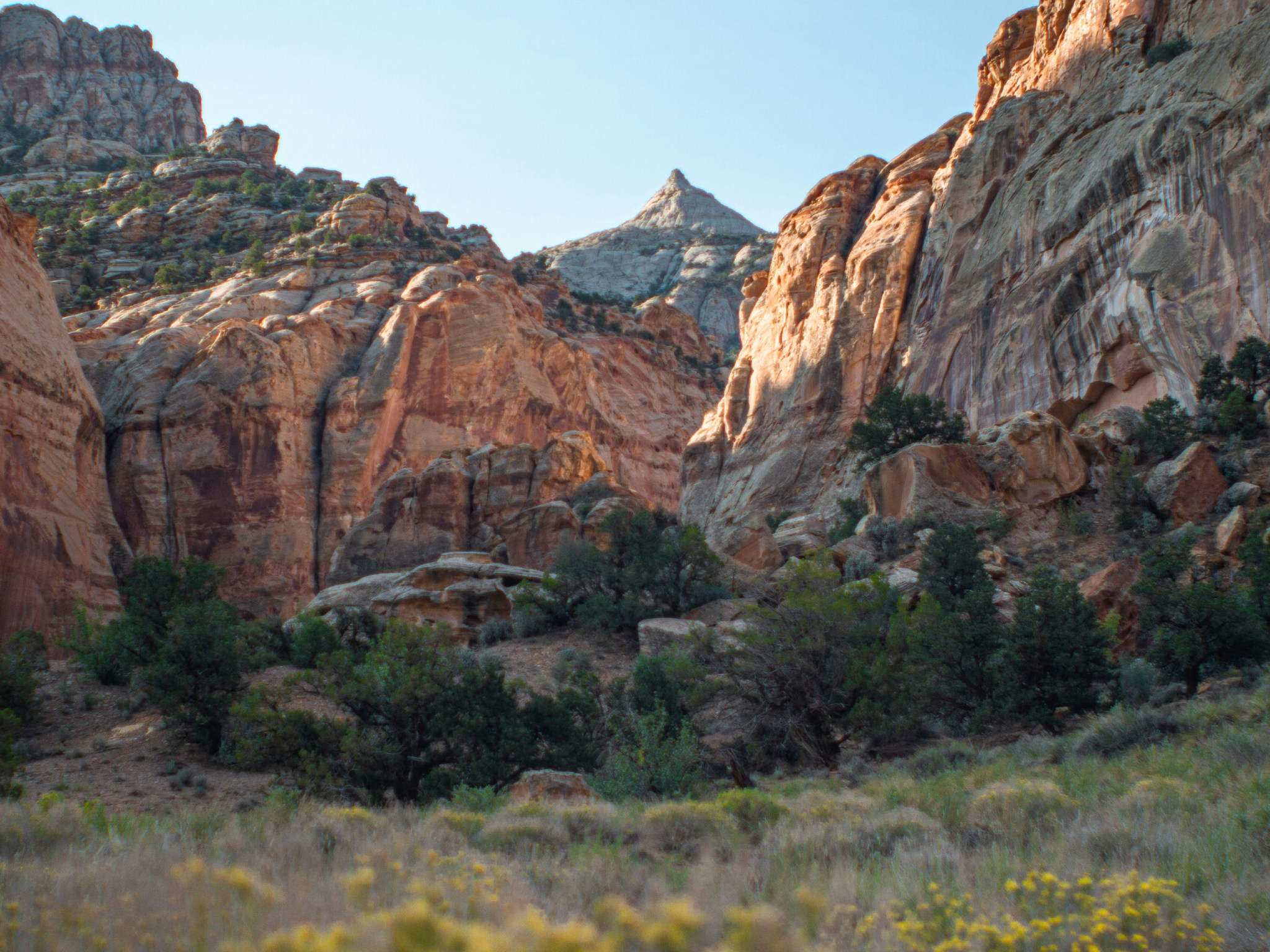 Cover photo for Capitol Reef National Park