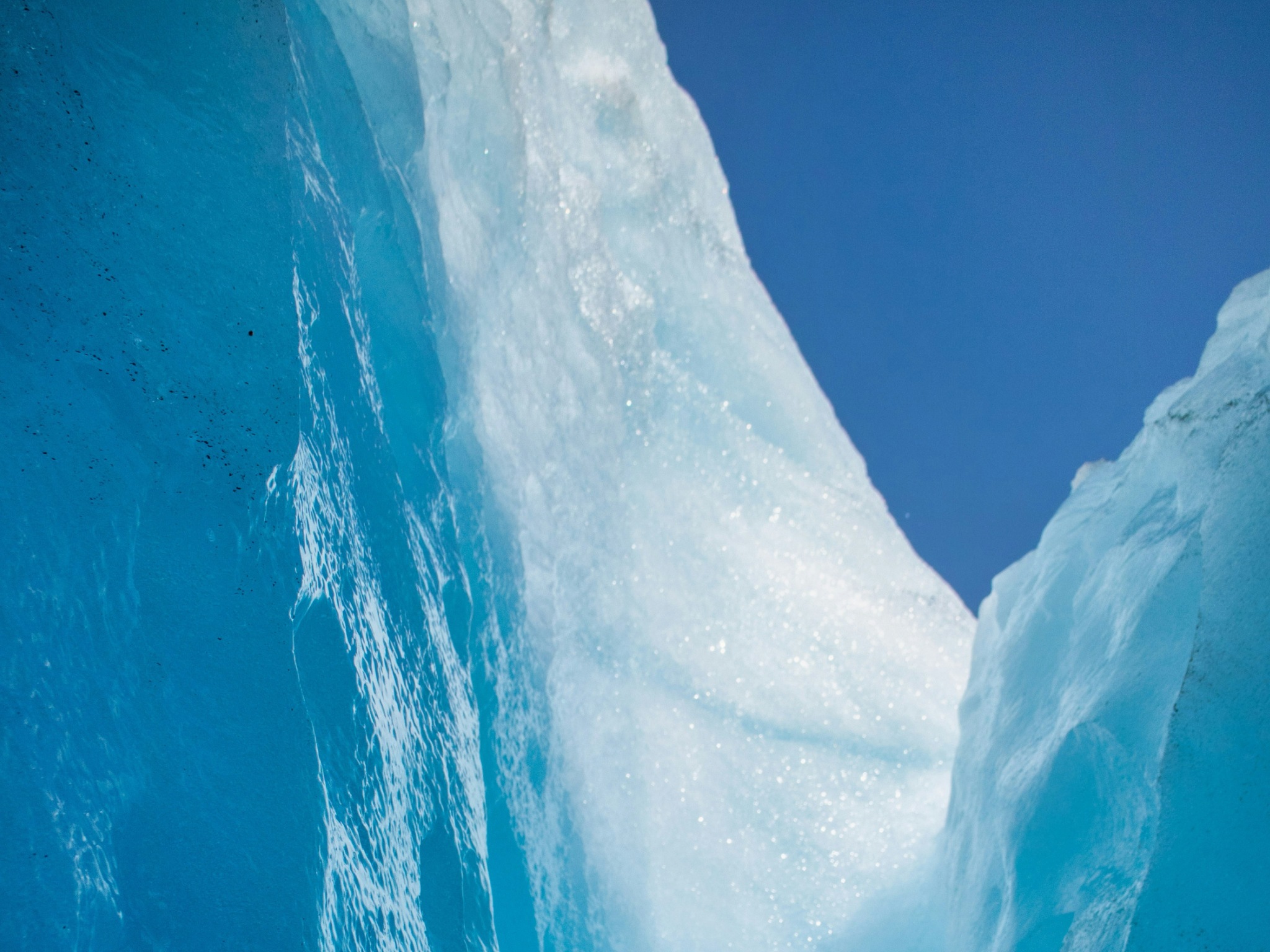 Cover photo for Glacier Bay National Park and Preserve