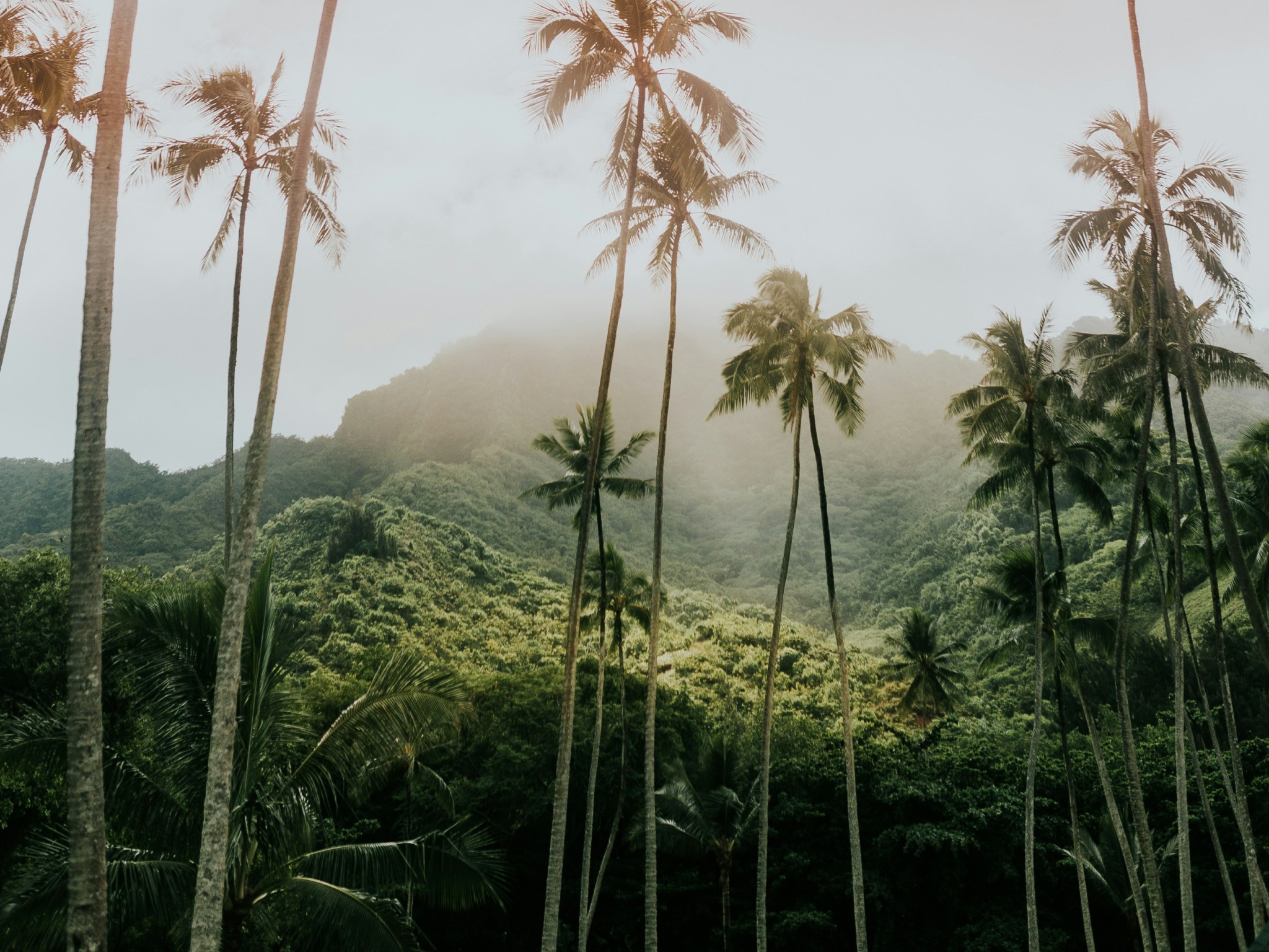 Cover photo for Hawai'i Volcanoes National Park