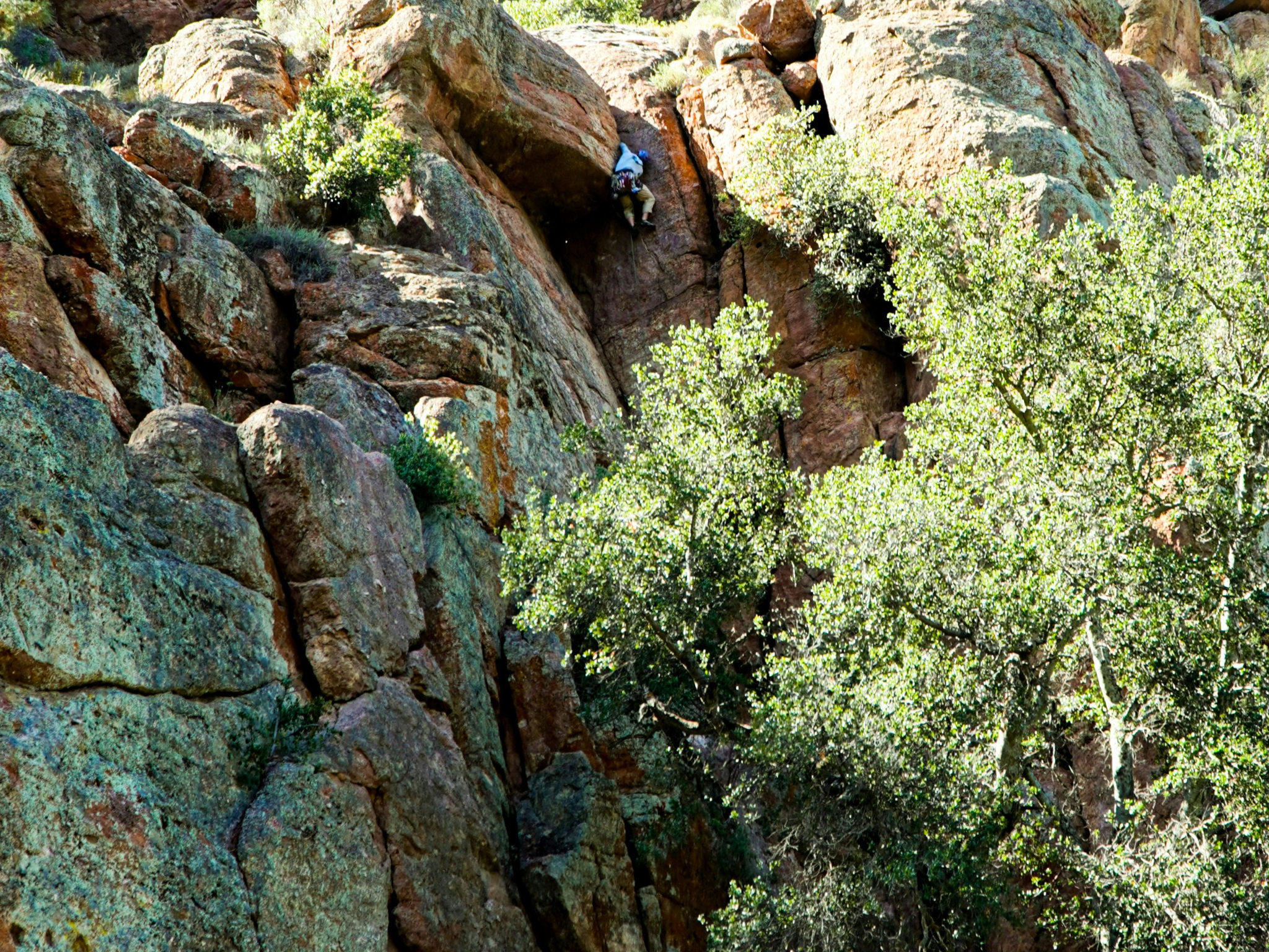 Cover photo for Pinnacles National Park