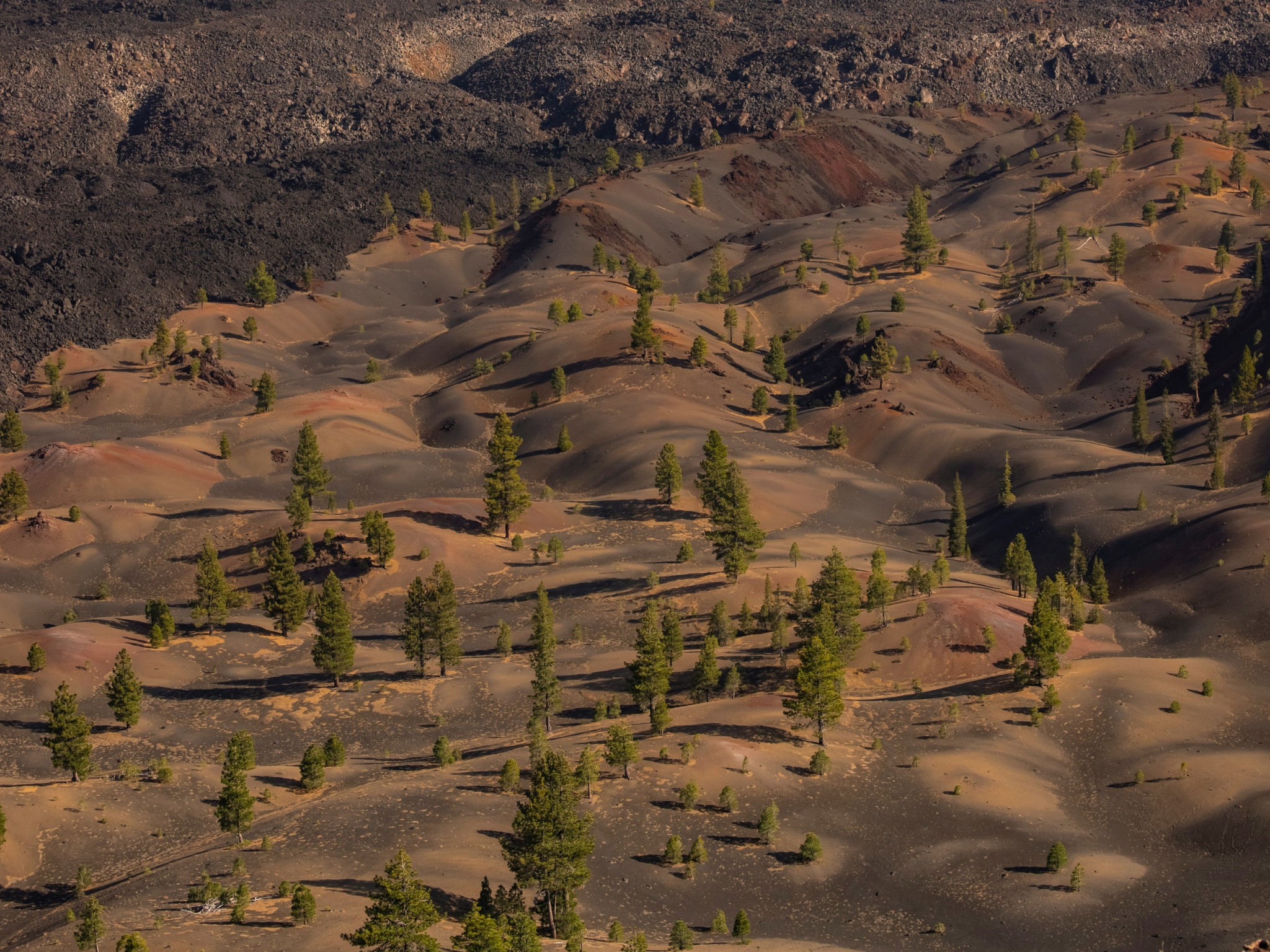 Cover photo for Lassen Volcanic National Park